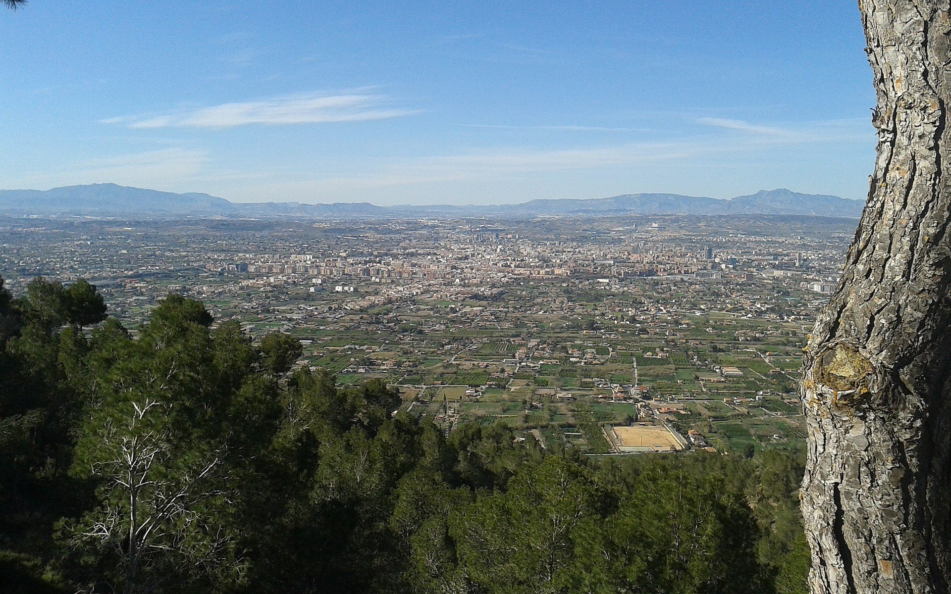 Panoramic view of a cityscape from a tree-lined balcony.