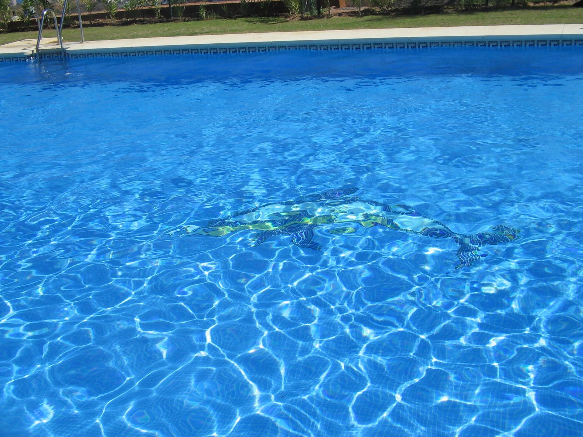 A swimming pool with clear blue water and a turtle swimming in it.