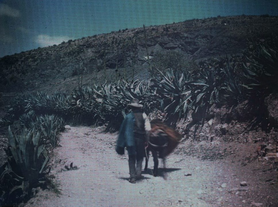 Un campesino y un burro caminando por una rambla en el paraje de La Hojilla, en 