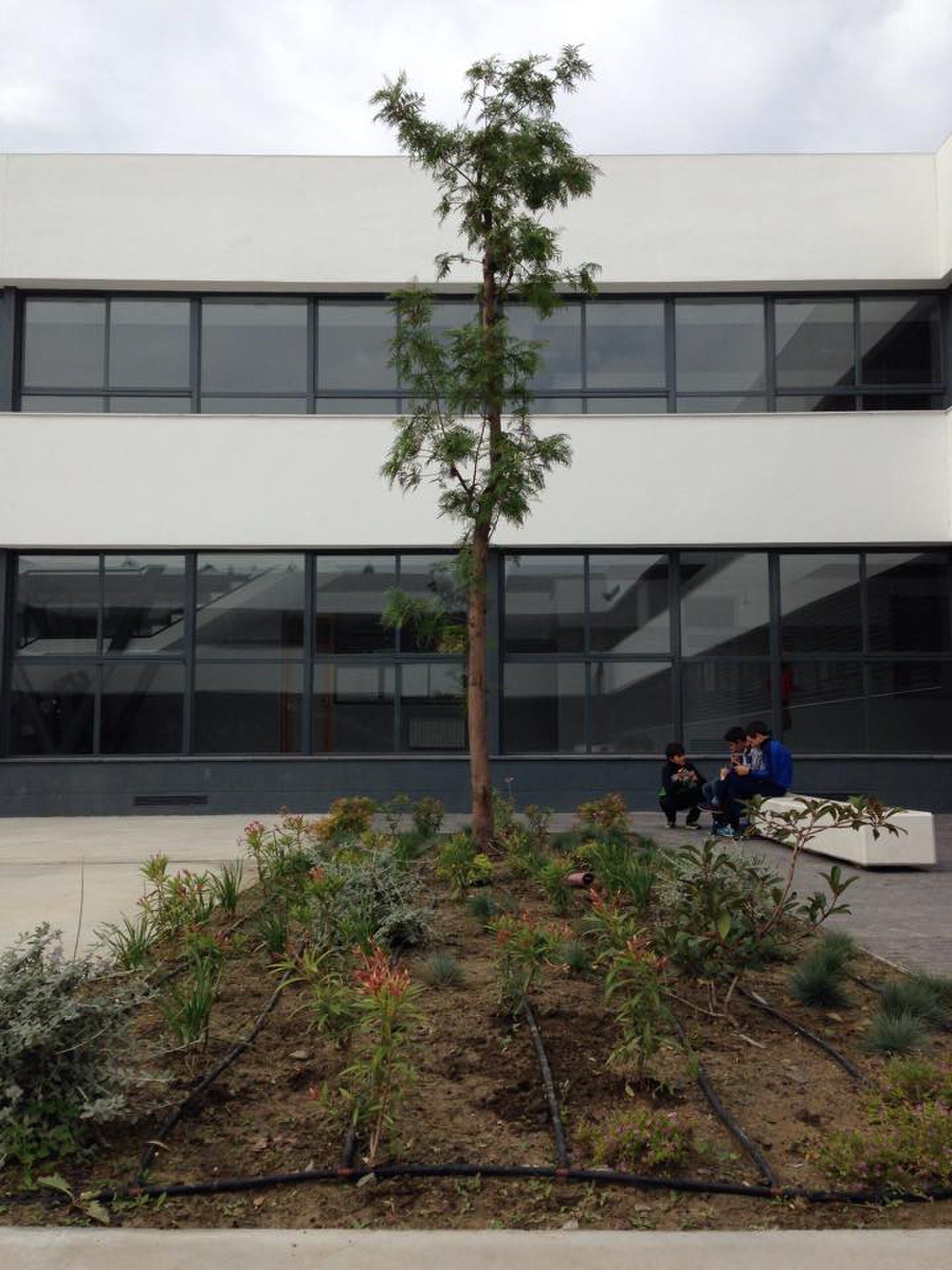 Patio Arbol Ies Cartima 2D4940451C9D