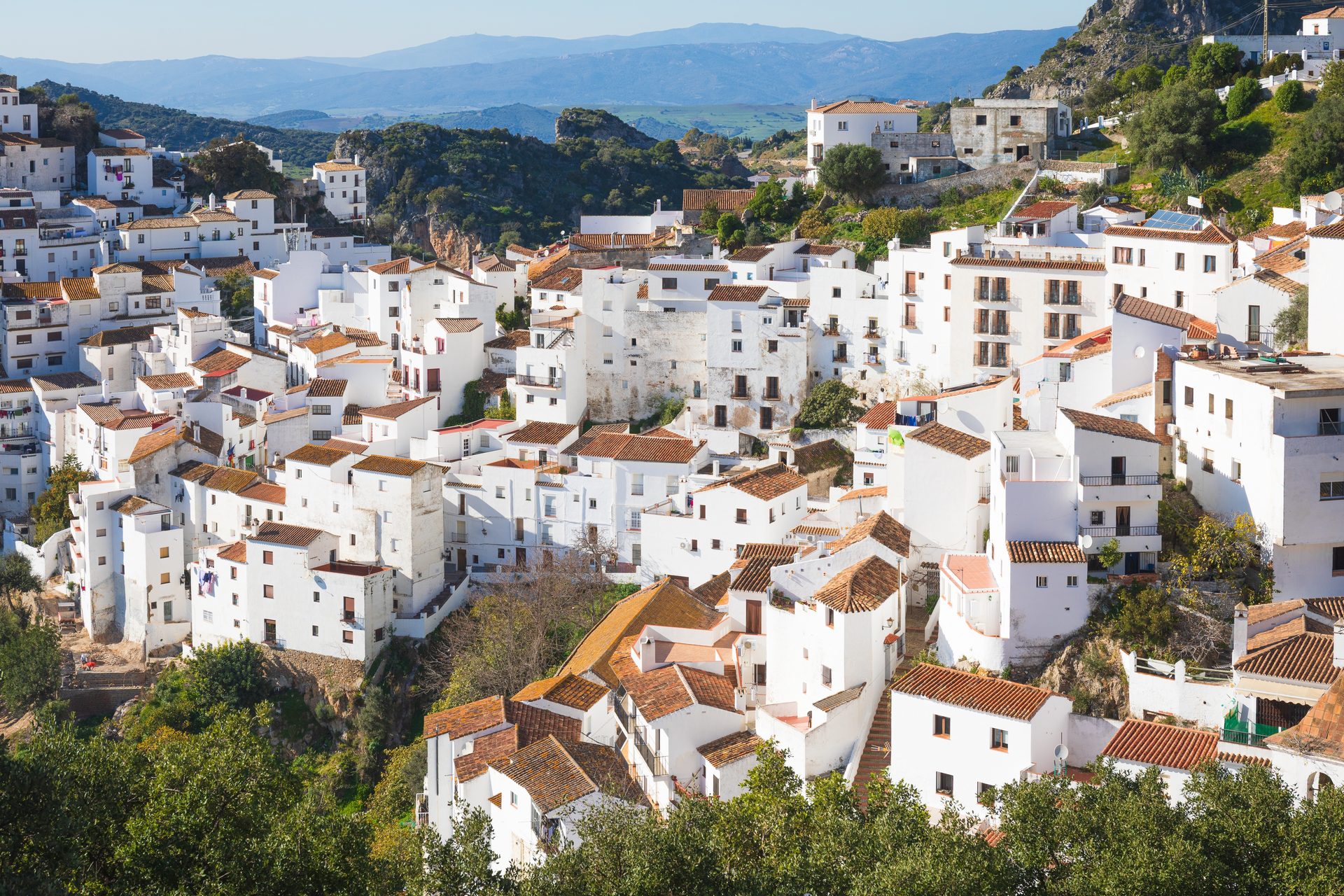 White Houses Against Slope