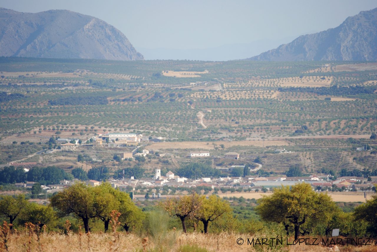 Looking doutht onto Chirivel, from the camino del Puerto. The Puerto is a small 