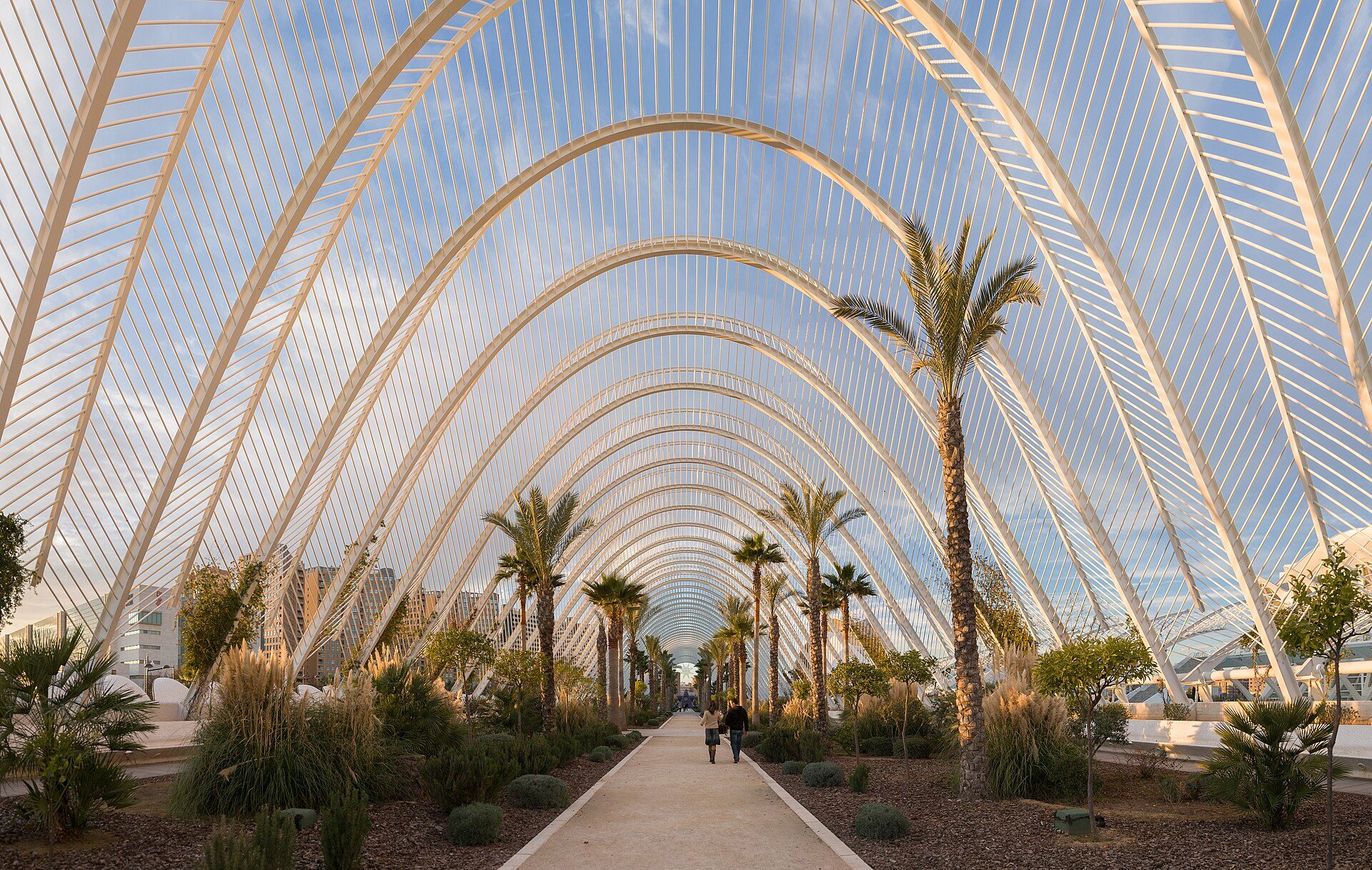 Alt text: Modern arched conservatory with palm trees and a clear blue sky view.