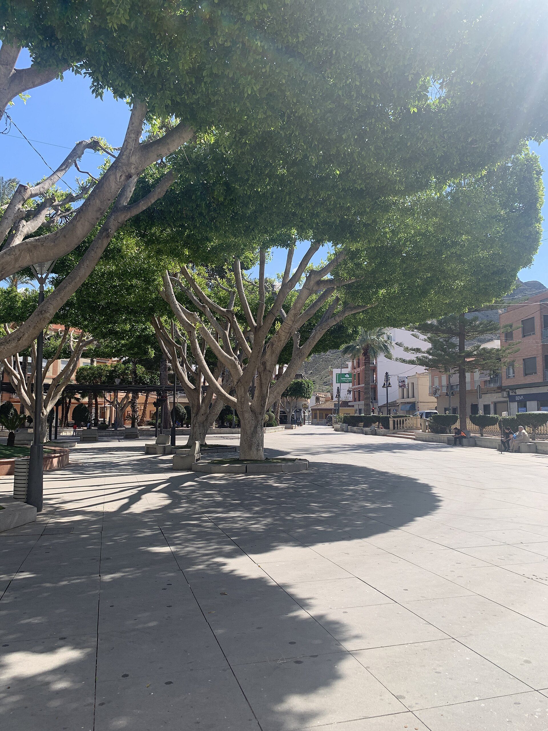 A spacious room with a large window offering a view of a tree-lined plaza.