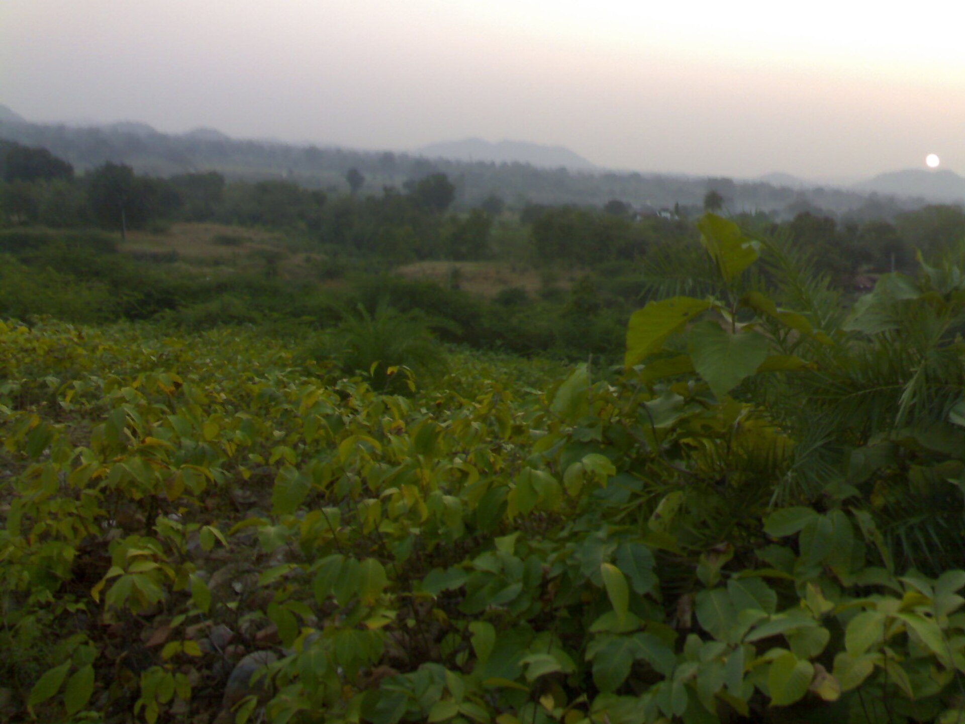 The setting sun caresses rolling hills over Devgadh Baria.