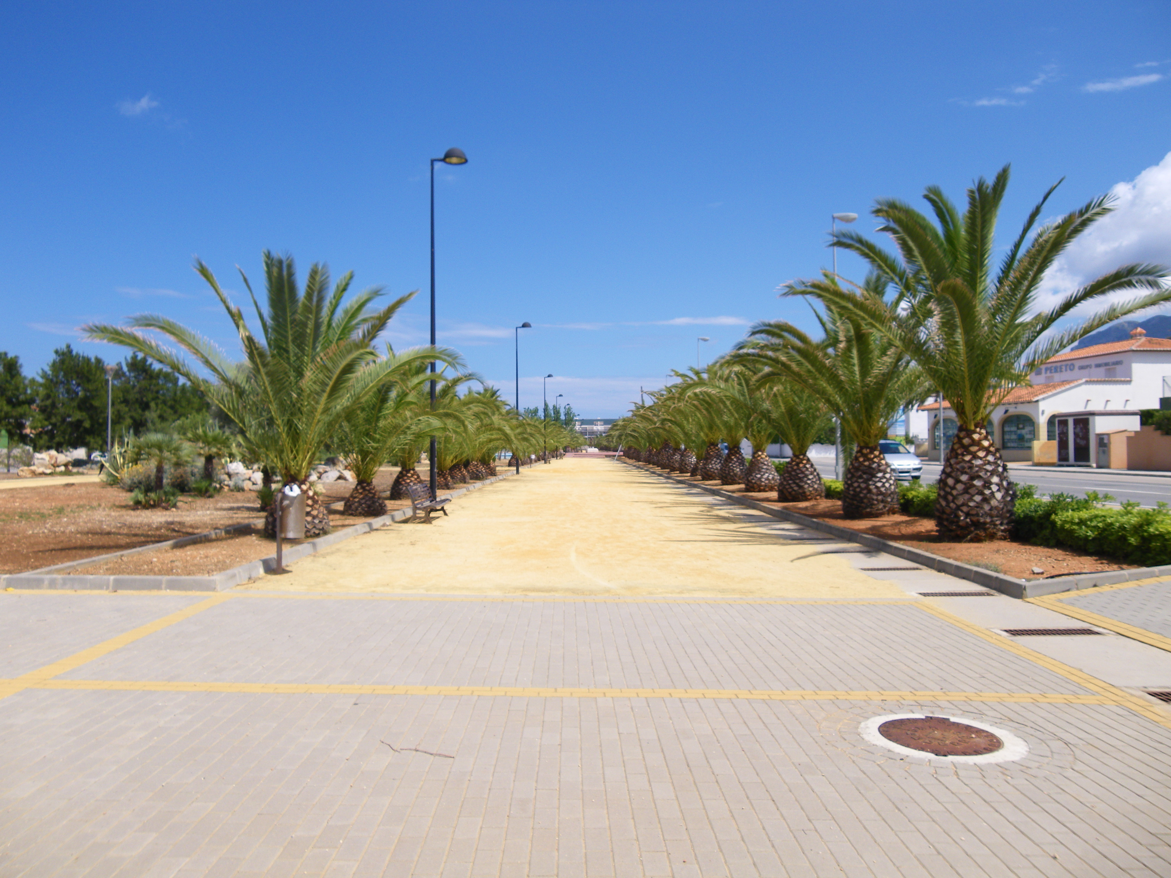 Palm tree promenade in Denia with blue sky and stone path.