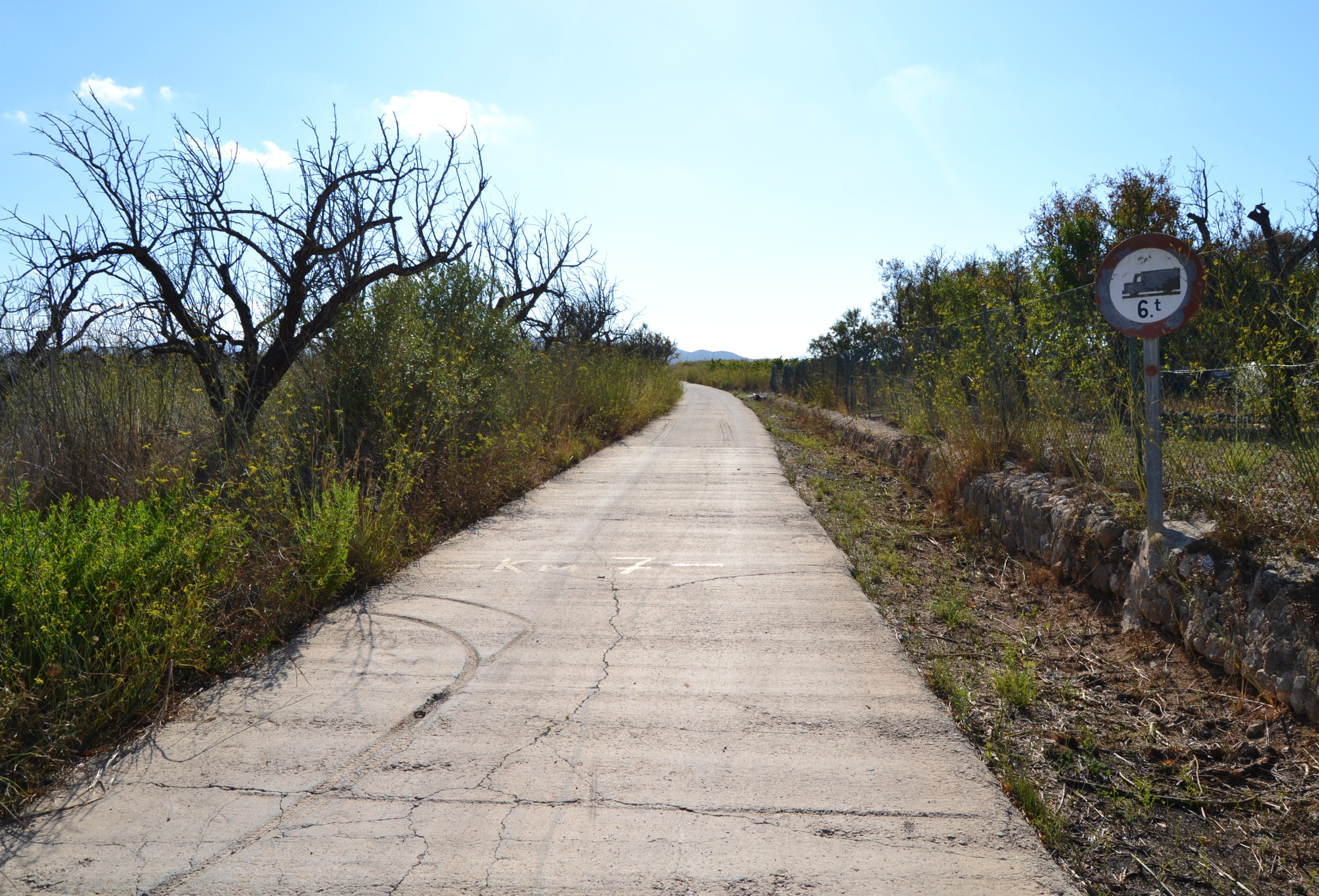 Concrete road through rural Denia landscape with greenery and a traffic sign.