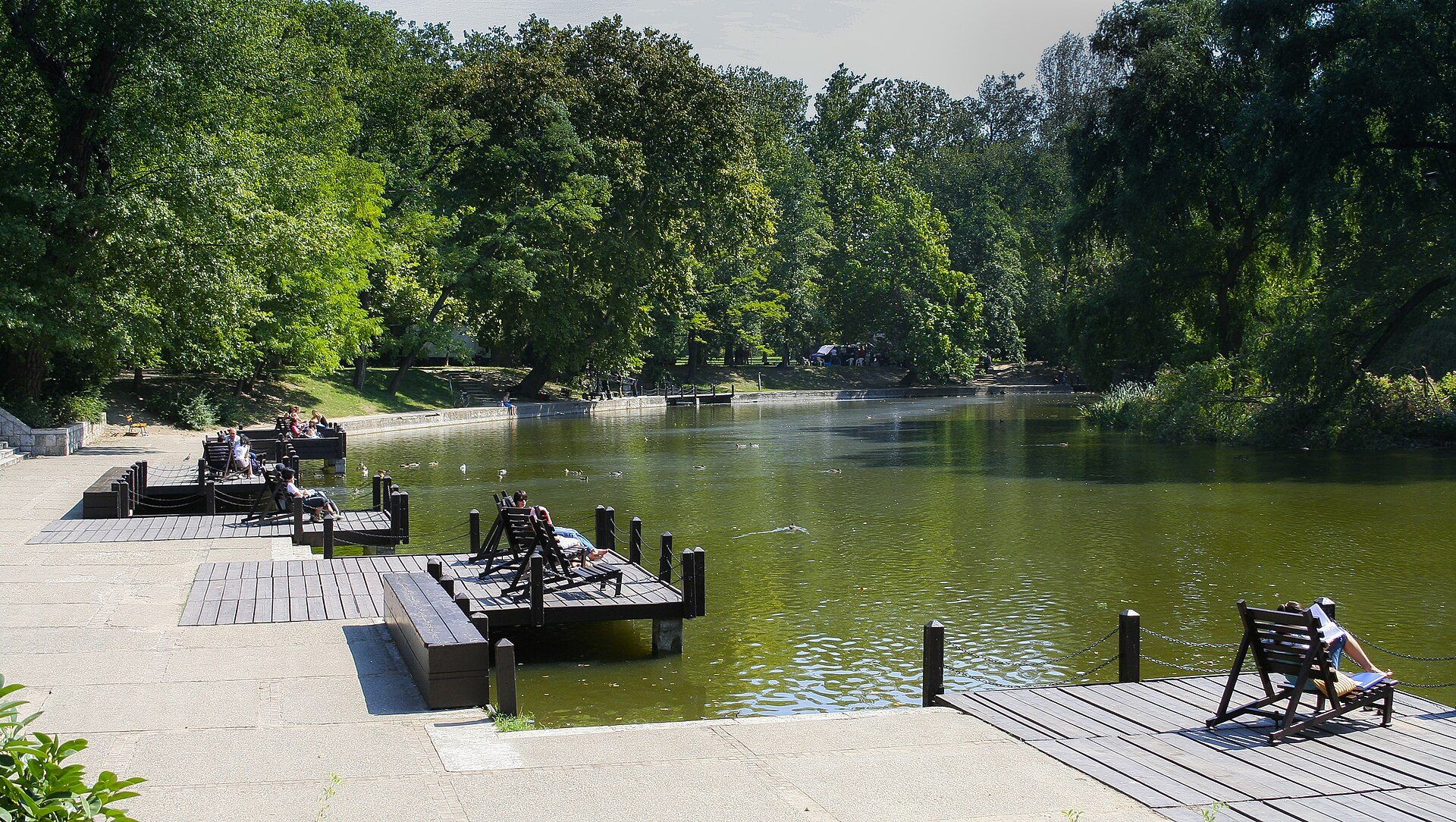 Wooden dock with chairs overlooking a serene lake surrounded by lush green trees.