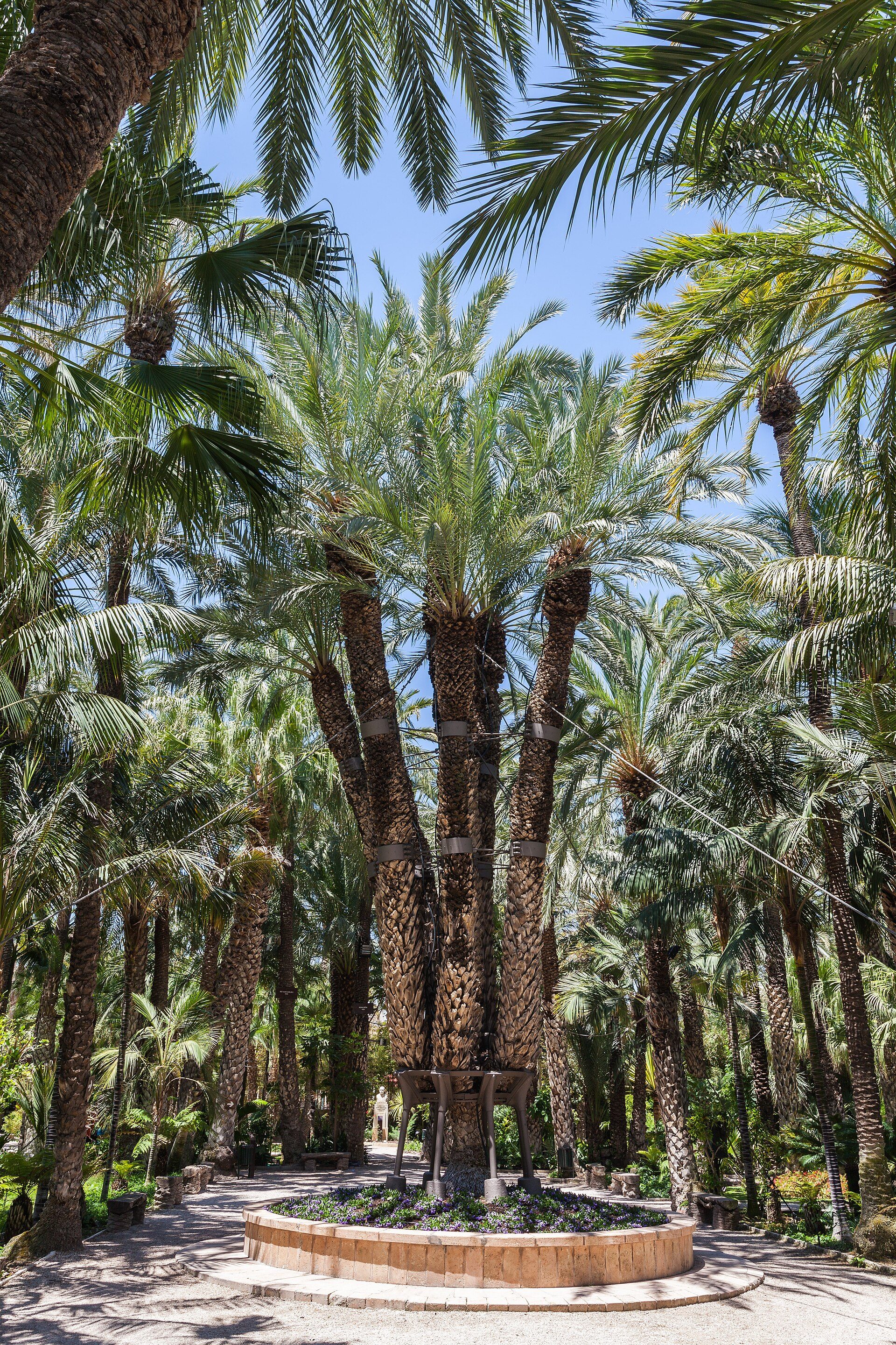 A lush garden with tall palm trees and a clear blue sky.