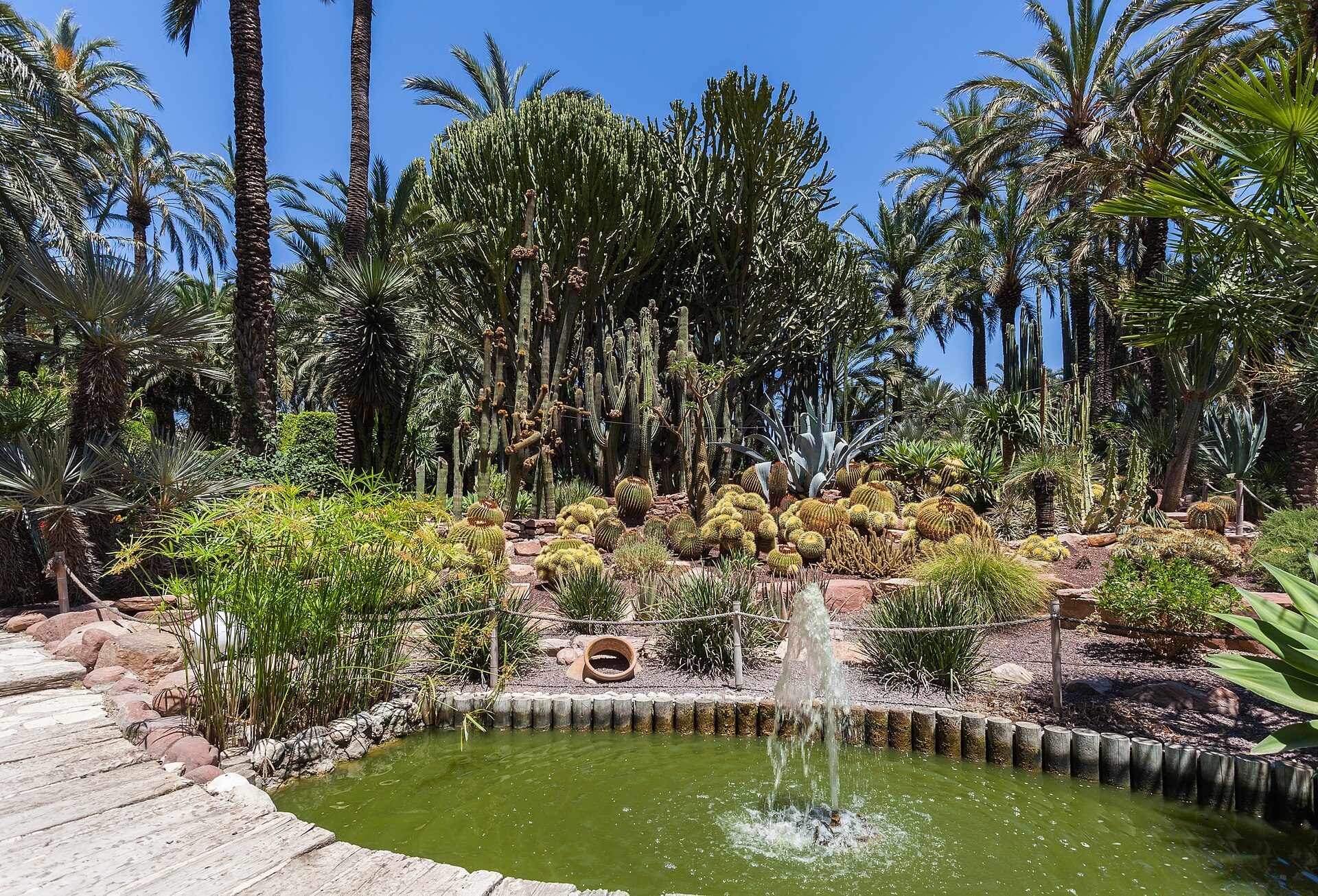 A serene garden with a circular pond, surrounded by palm trees and cacti.