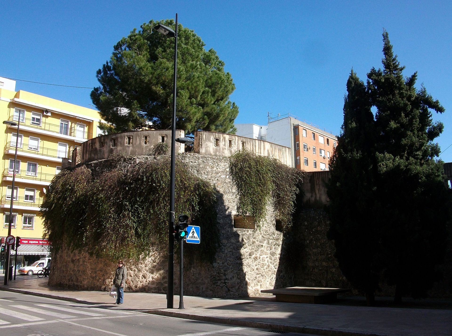 Torrelló del Pi de Gandia.
