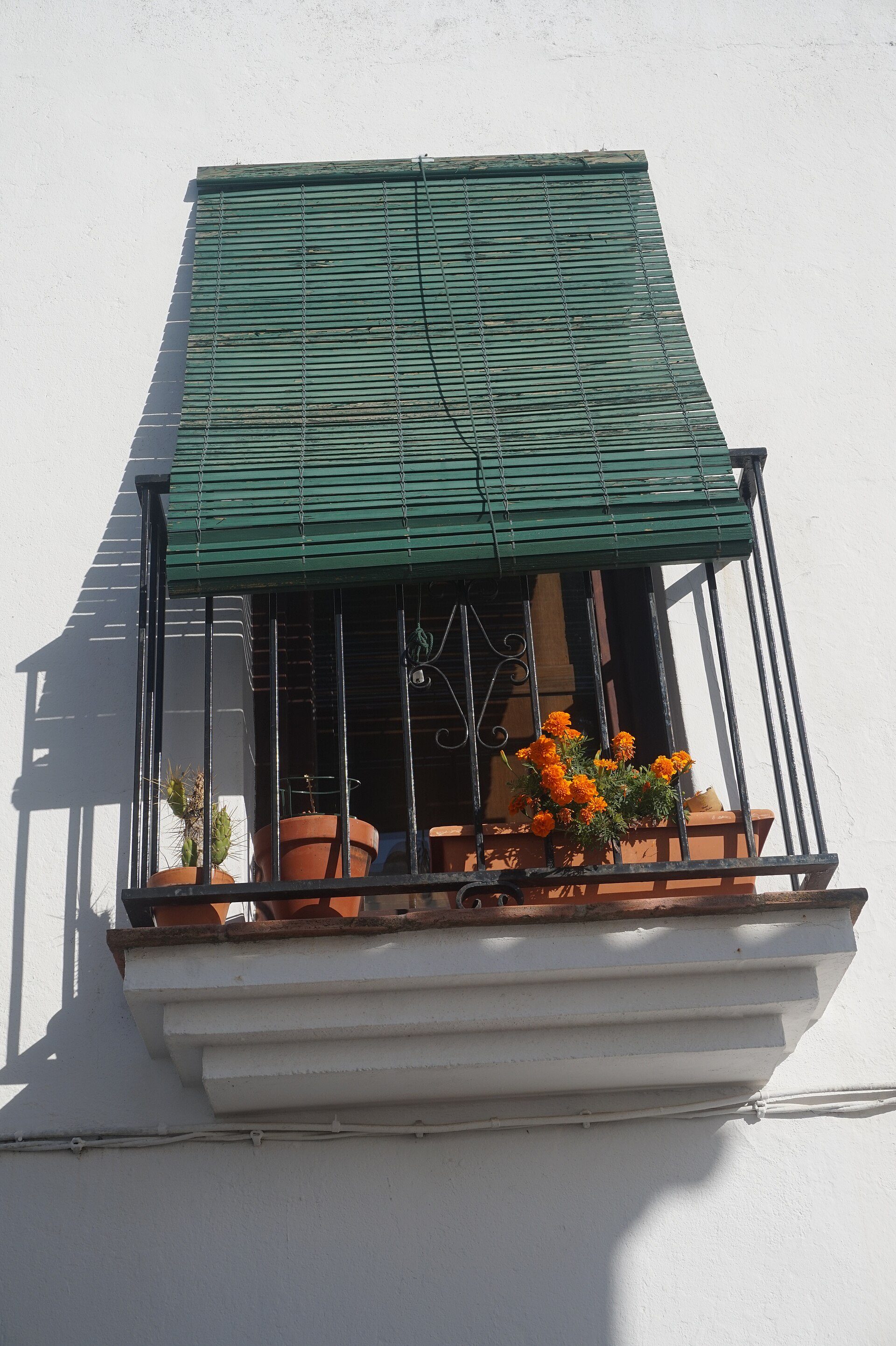 A cozy balcony with a green awning, featuring potted plants and a view of the sky.