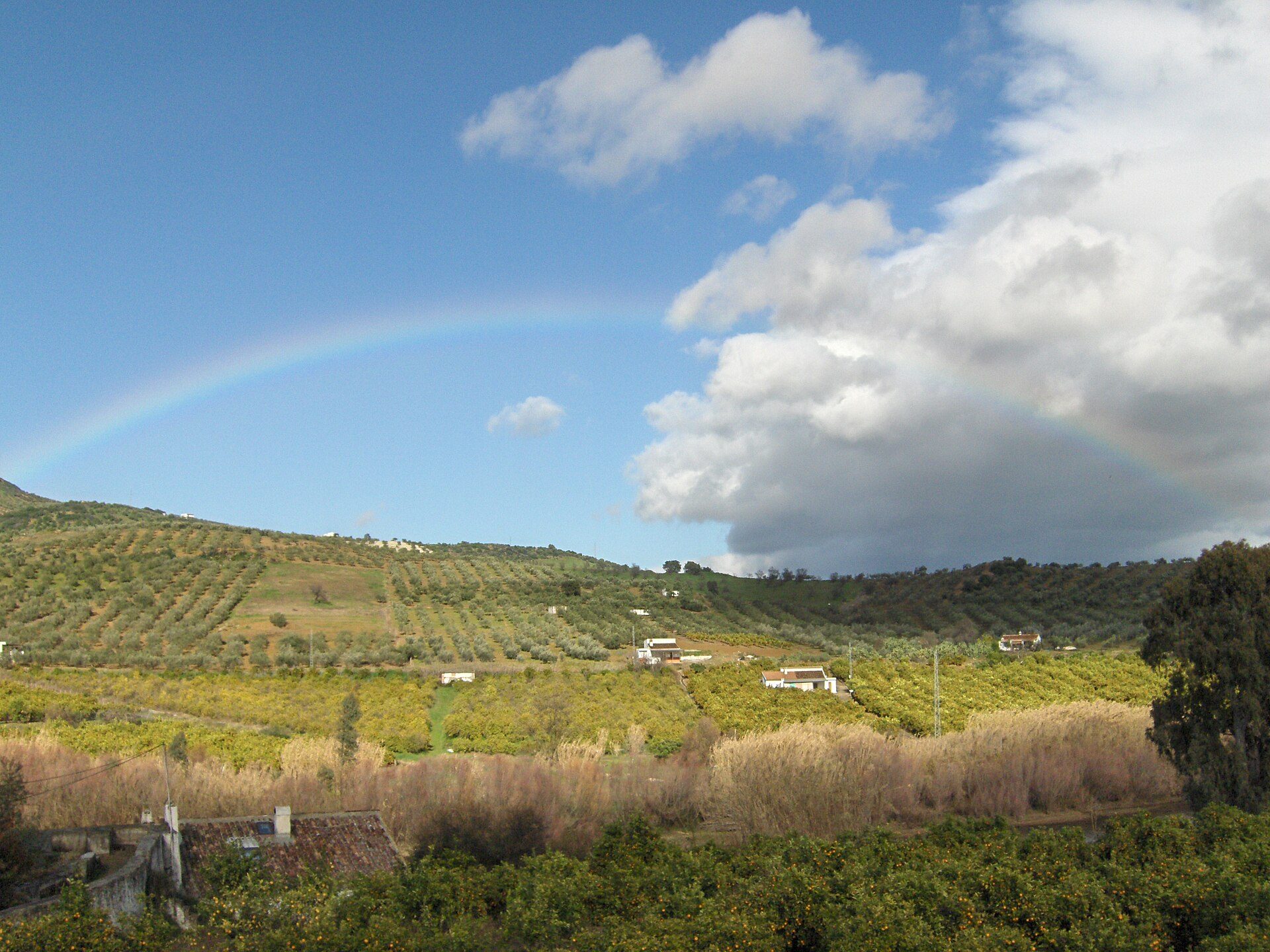 Rainbow in Guaro, Málaga.
