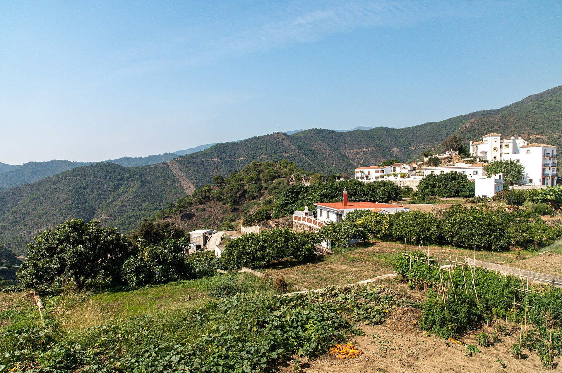 Alt text: "Cozy cottage with mountain view, garden, and white exterior.