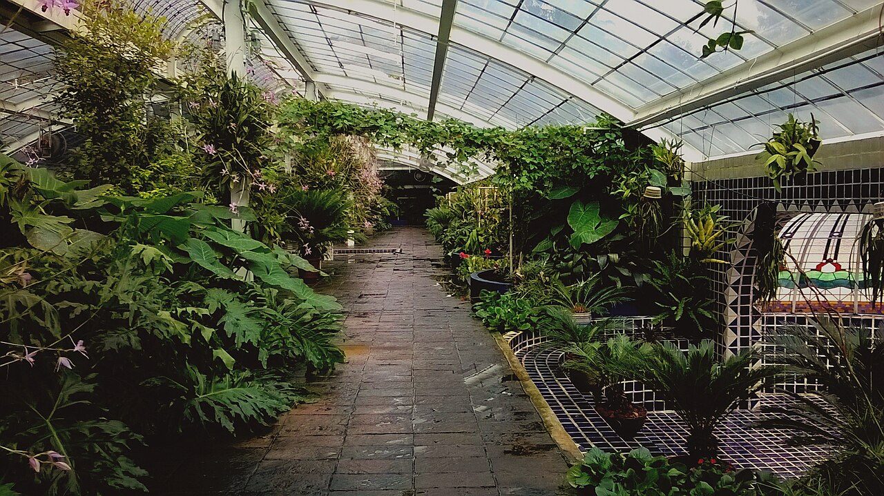 In the photograph you can see a corridor of the Chapultepec Botanical Garden, lo