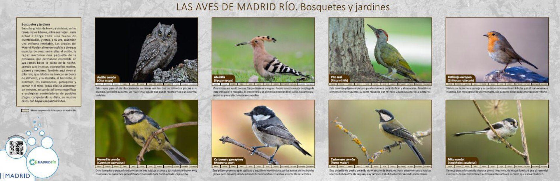 El arboreto botánico del Parque Lineal del Manzanares ya está abierto al público