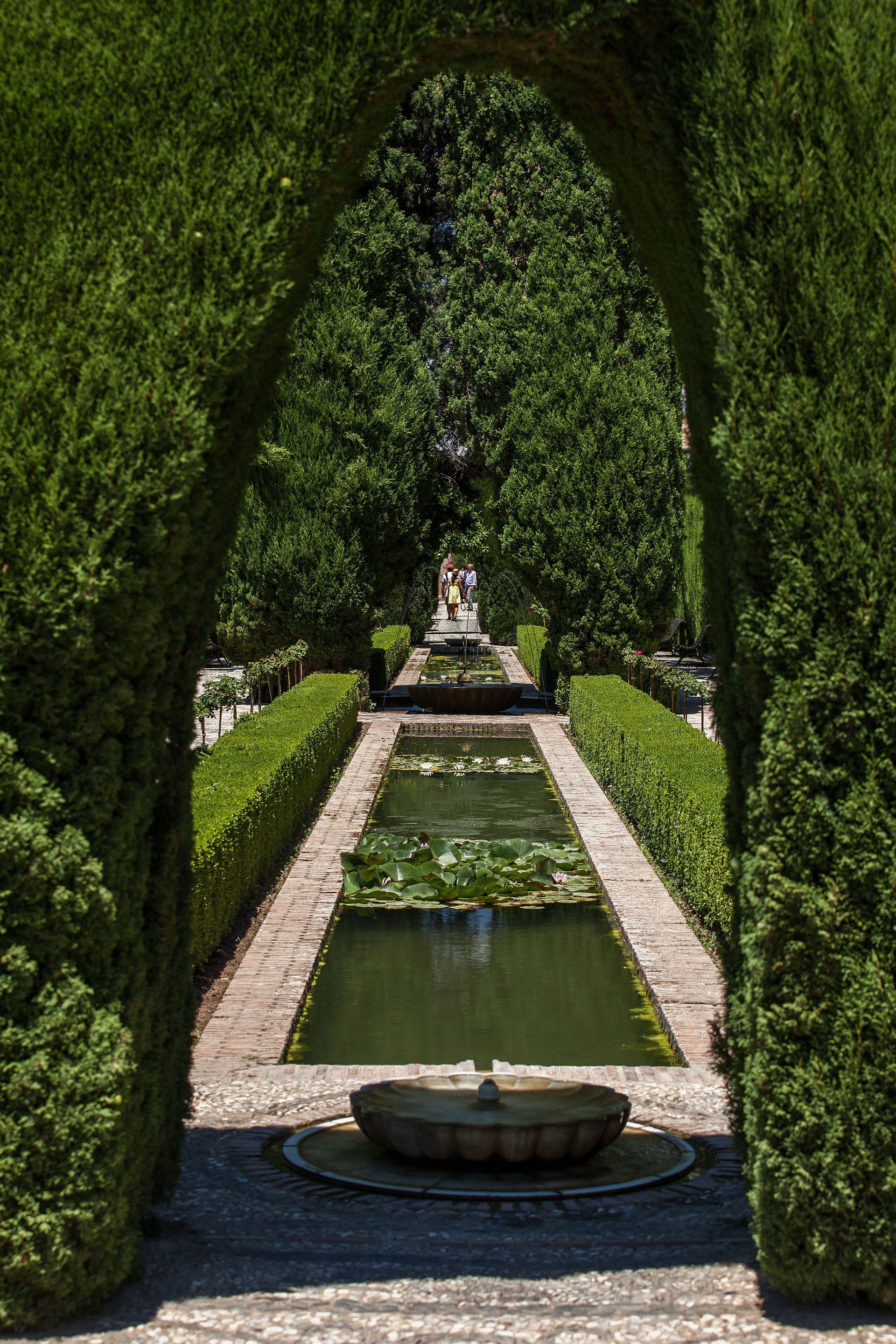 A lush garden with a rectangular pond, archways, and neatly trimmed hedges.