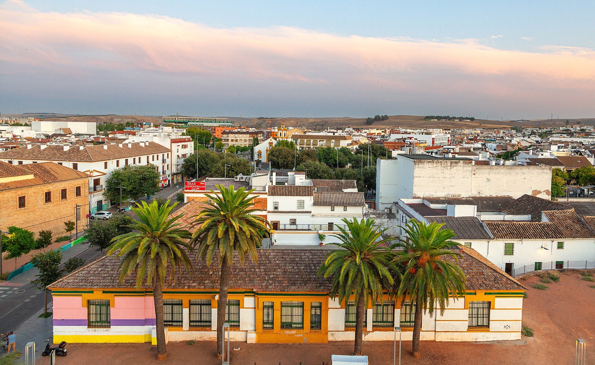 Aerial view of a colorful building with palm trees, surrounded by a town and hills.