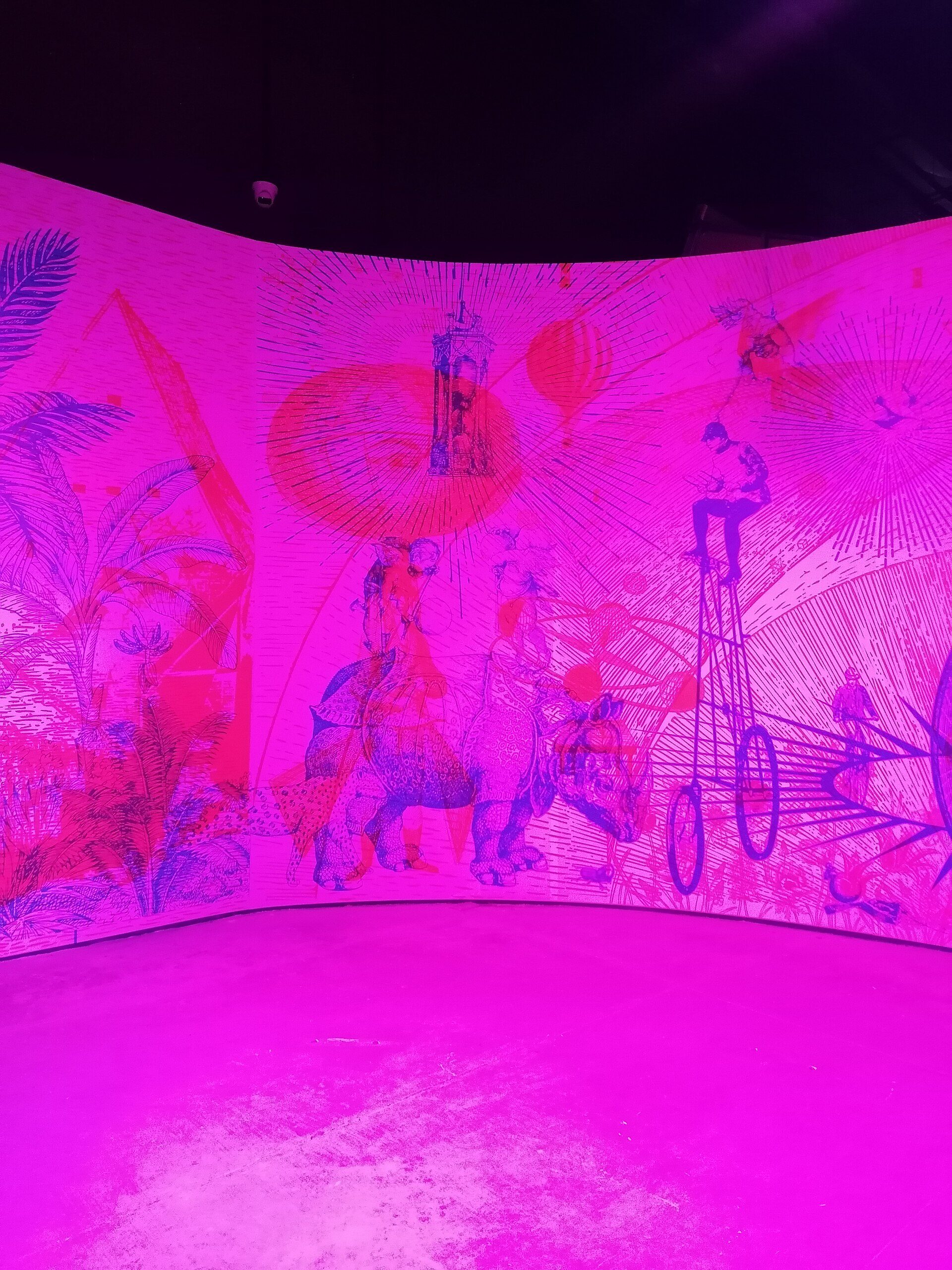 Museo de la luz. Interior. Exposición de noviembre 2025