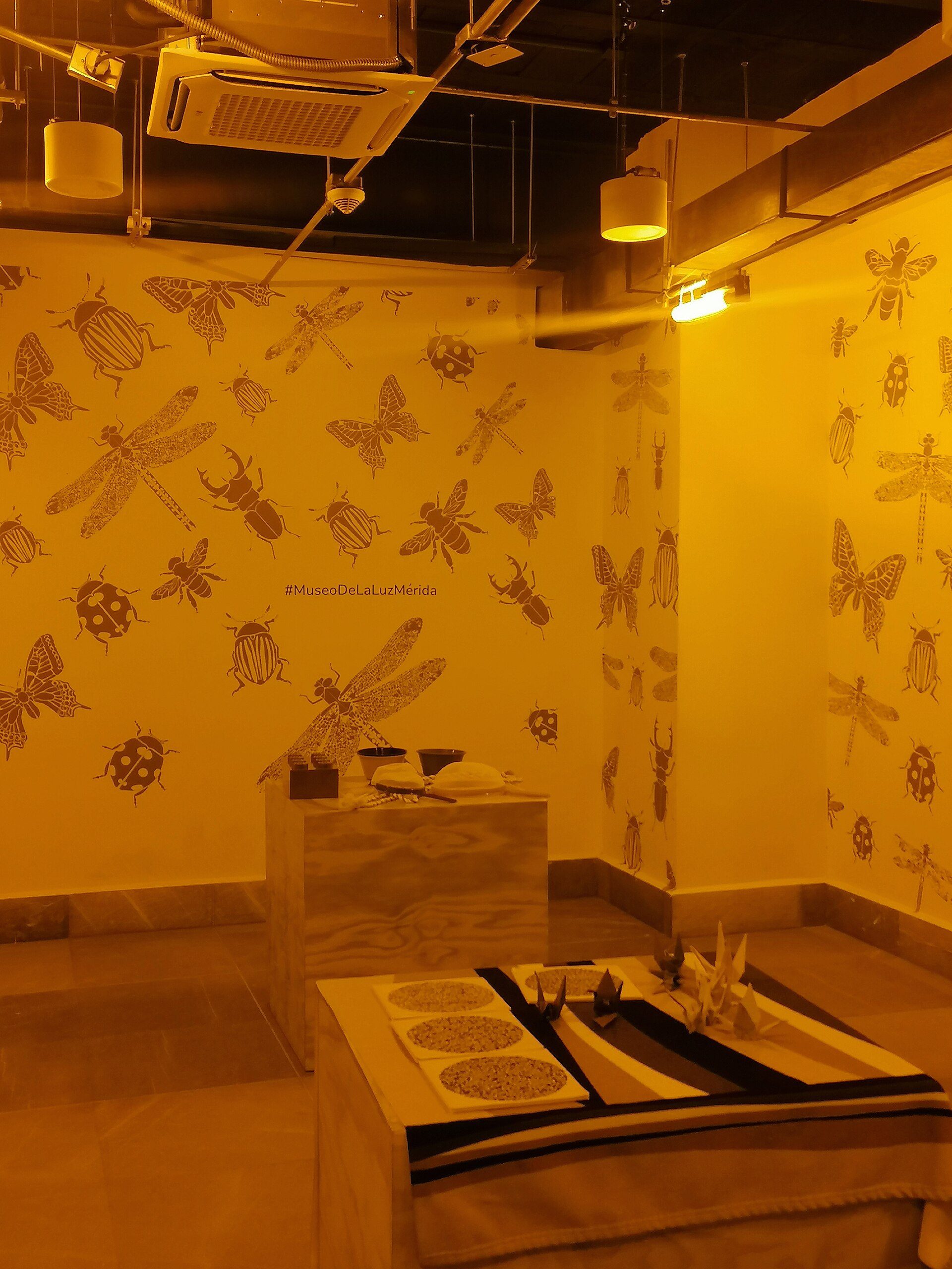 Museo de la luz. Interior. Exposición de noviembre 2025