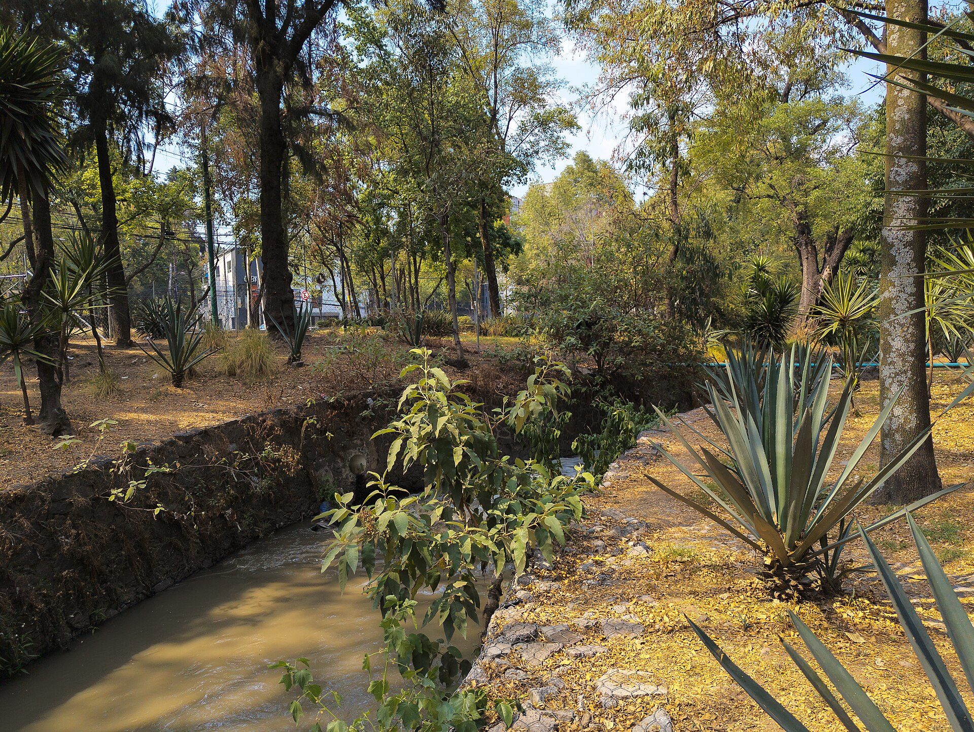 Magdalena River at Puente de Panzacola, Coyoacán, Mexico City.