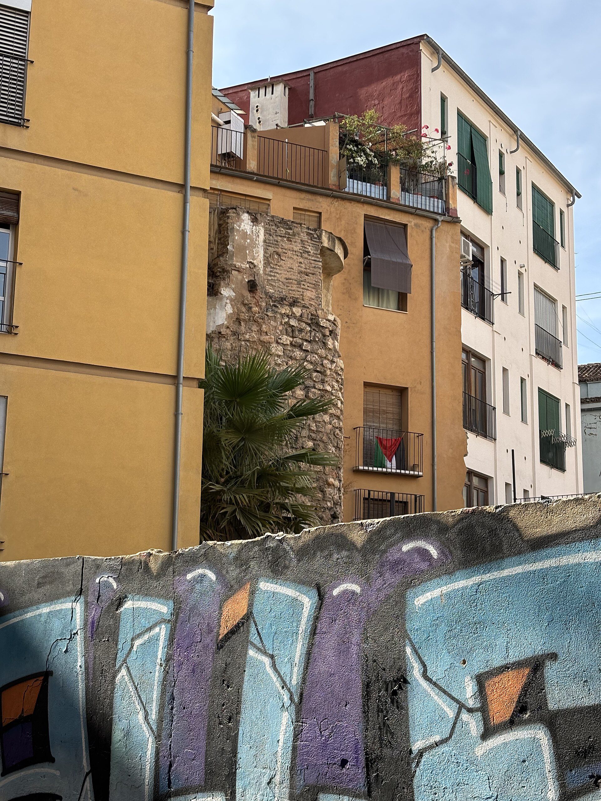 A city apartment with a balcony, featuring a view of neighboring buildings and a palm tree.