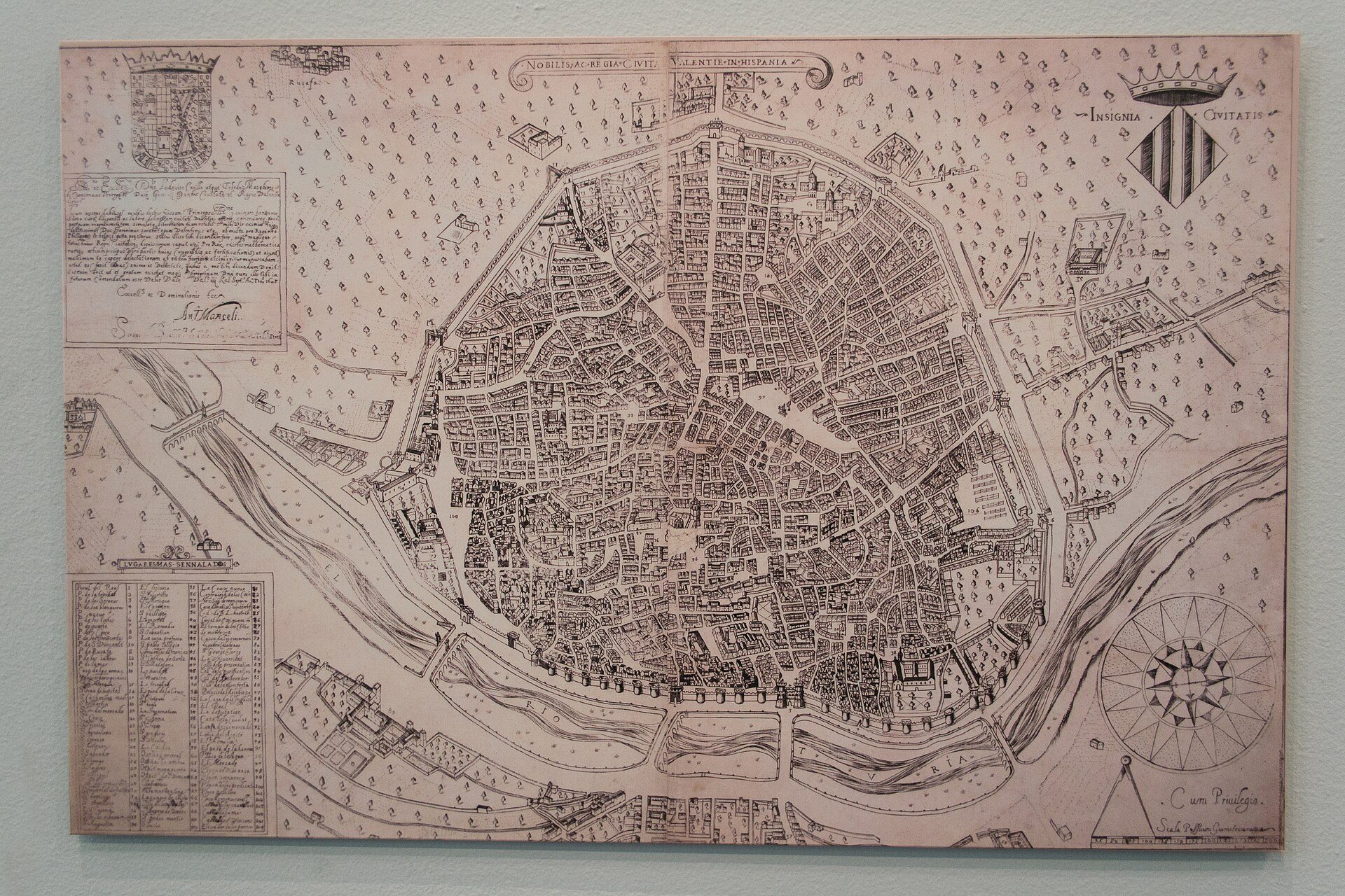 Detailed vintage map of a city with intricate streets and landmarks.