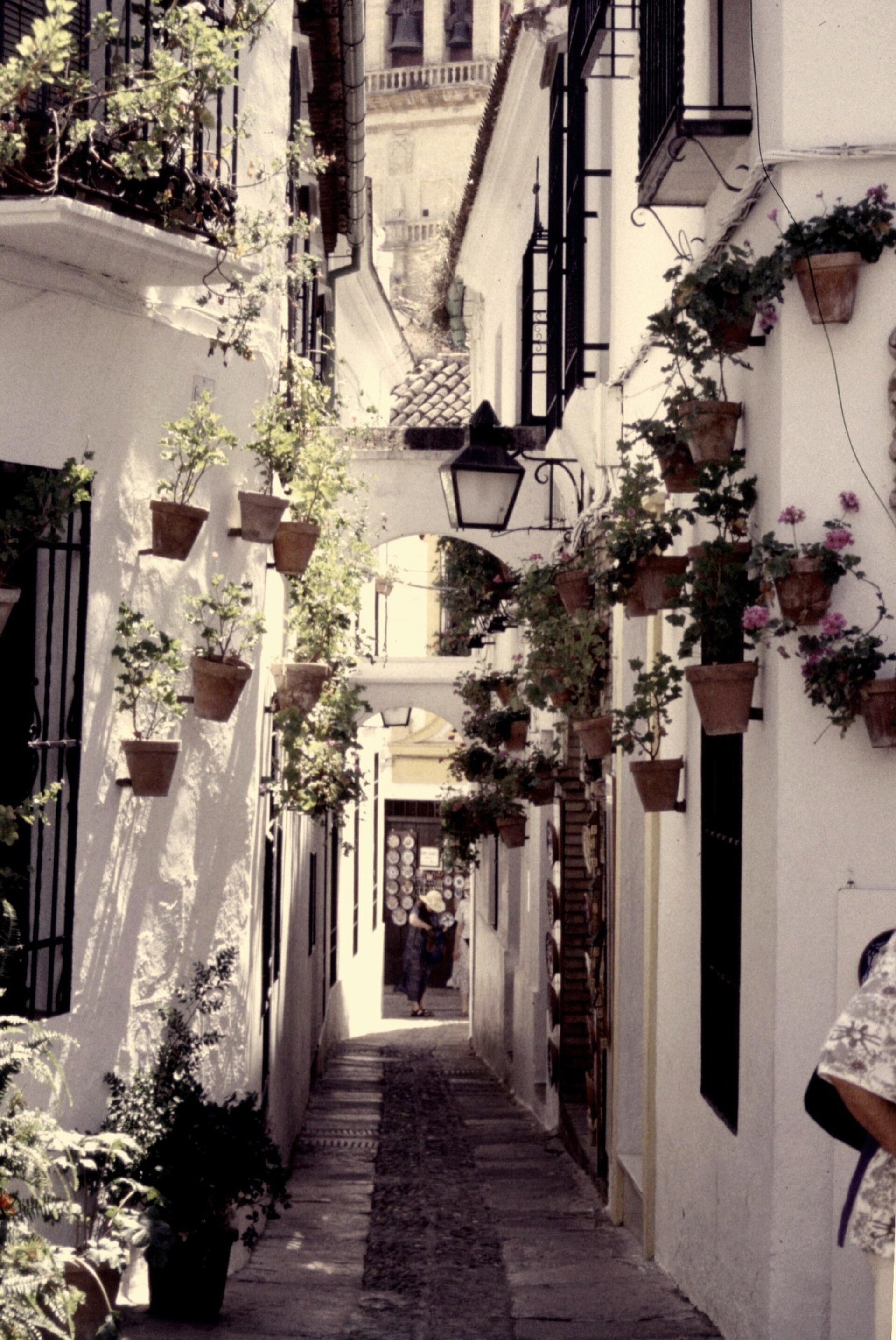 Espagne Cordoue Juderia Calleja De Las Flores