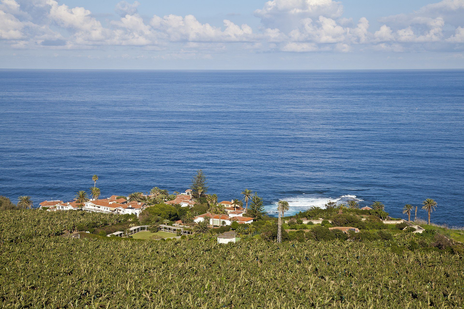 Oceanfront villa with private pool, lush gardens, and stunning sea view.