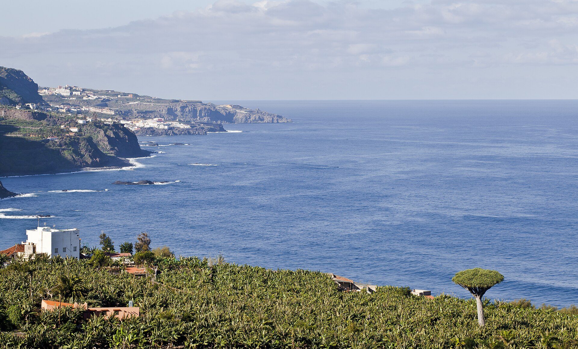 Cozy room with ocean view, balcony, and lush garden.