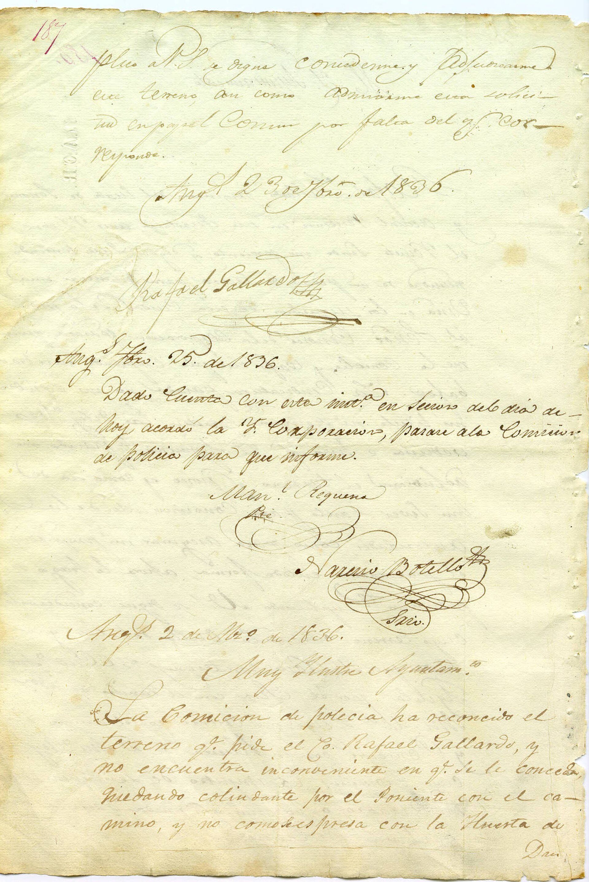 Petition of Rafael Gallardo for grant of parcel for vineyard, 1836
Gallardo requ