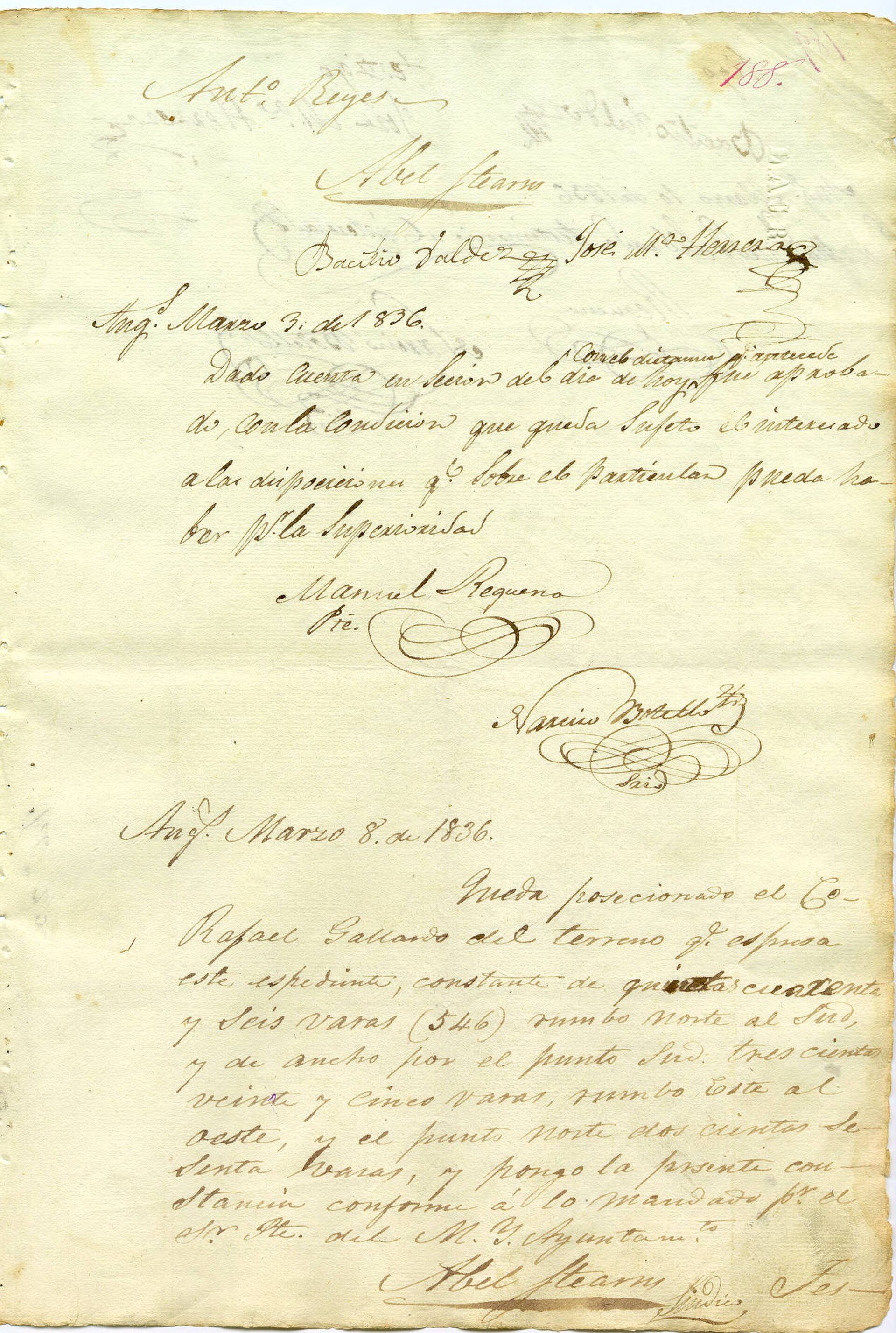 Petition of Rafael Gallardo for grant of parcel for vineyard, 1836
Gallardo requ