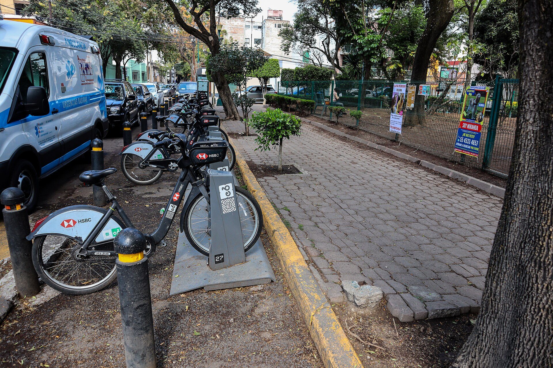 Alt text: Outdoor bike parking area with a row of bicycles and a paved walkway.
