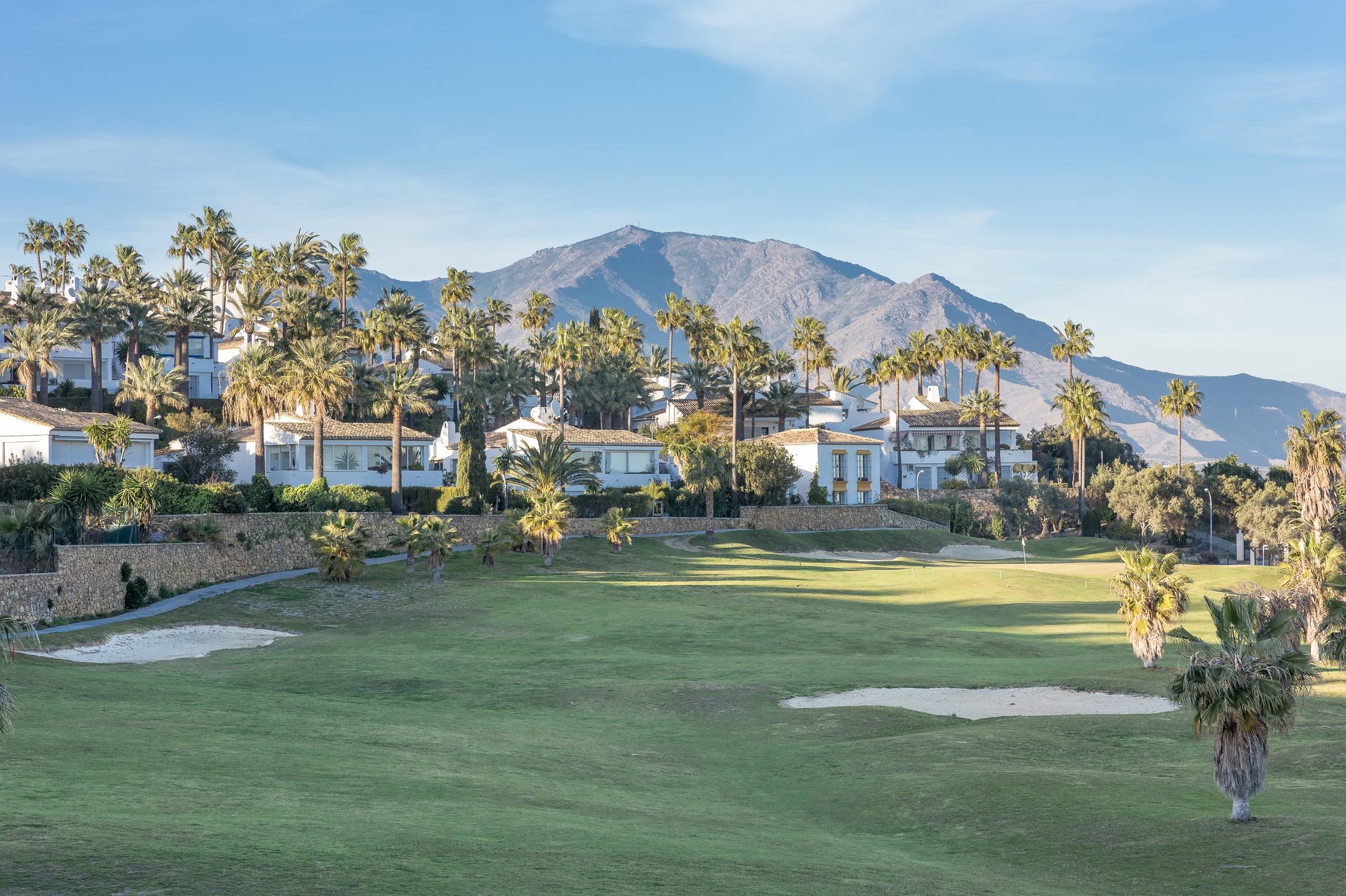 Luxury villa with mountain view, private pool, spacious living room, and palm trees.