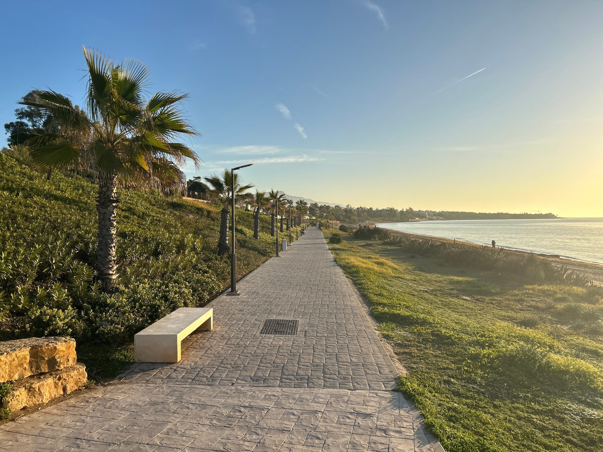 Coastal walkway with palm trees, ocean view, paved path, benches, and clear sky.