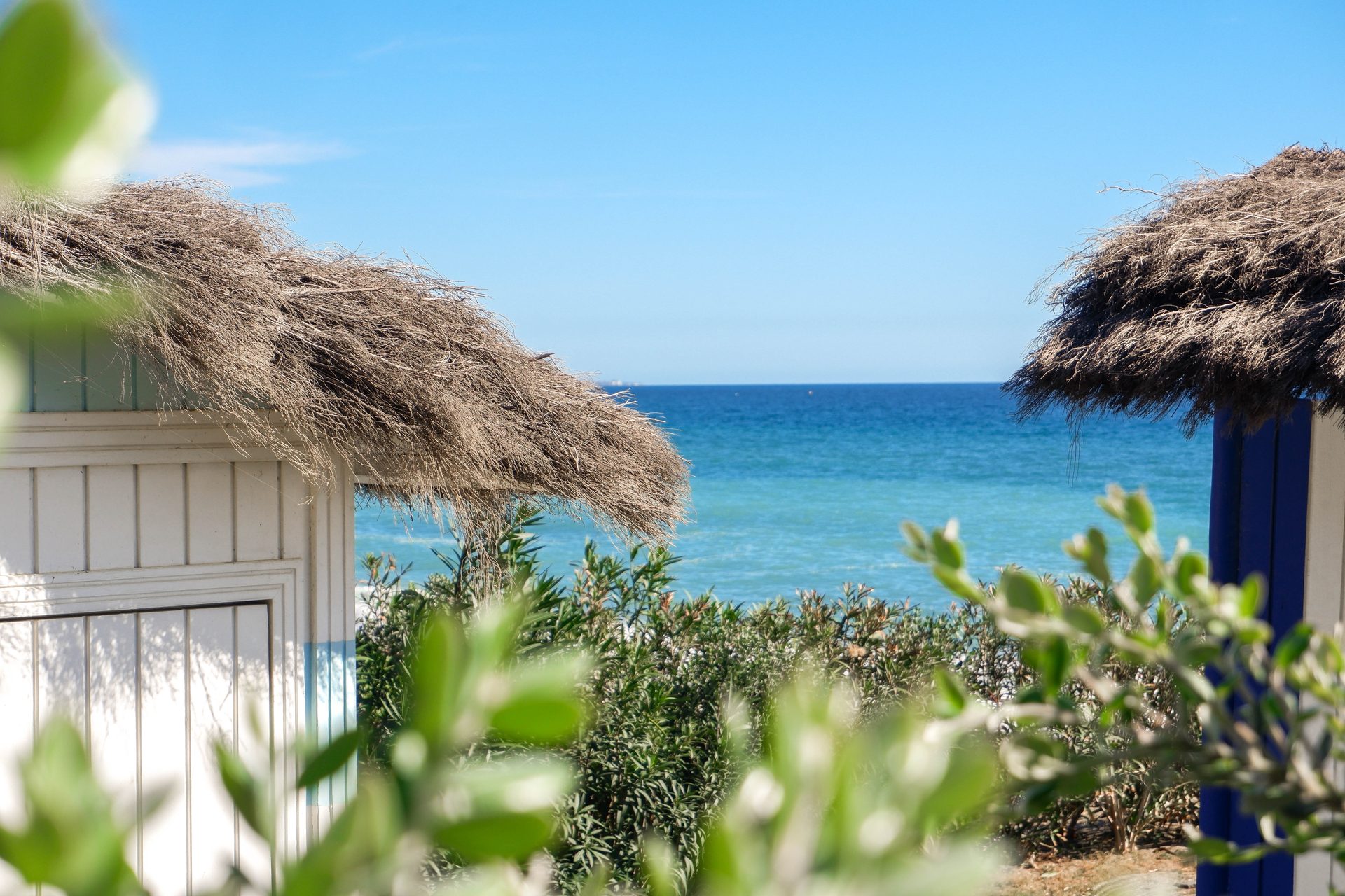 Cozy beachfront cottage with thatched roof, ocean view, and lush greenery.