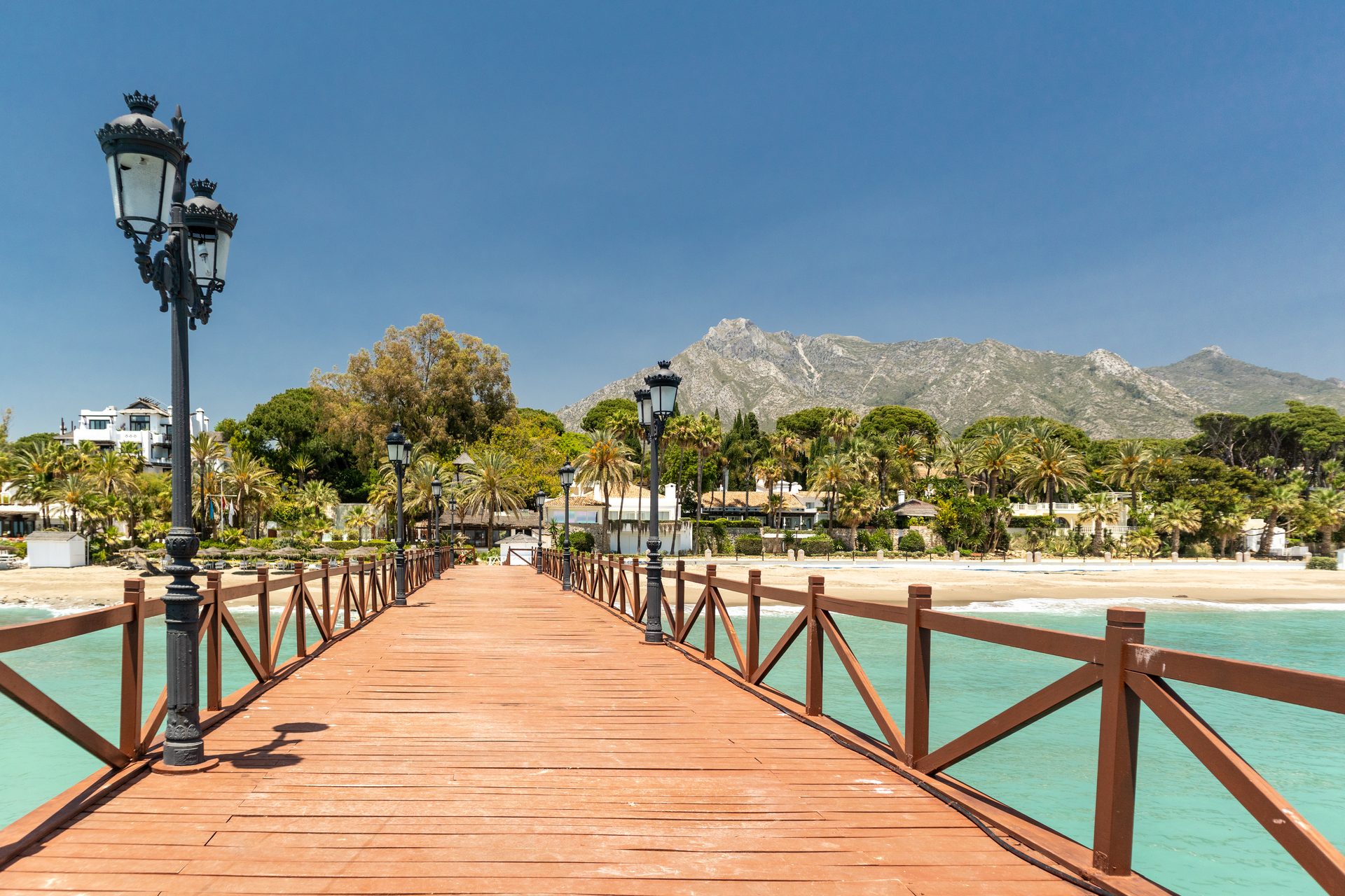 Wooden deck with ocean view, palm trees, and mountain backdrop.
