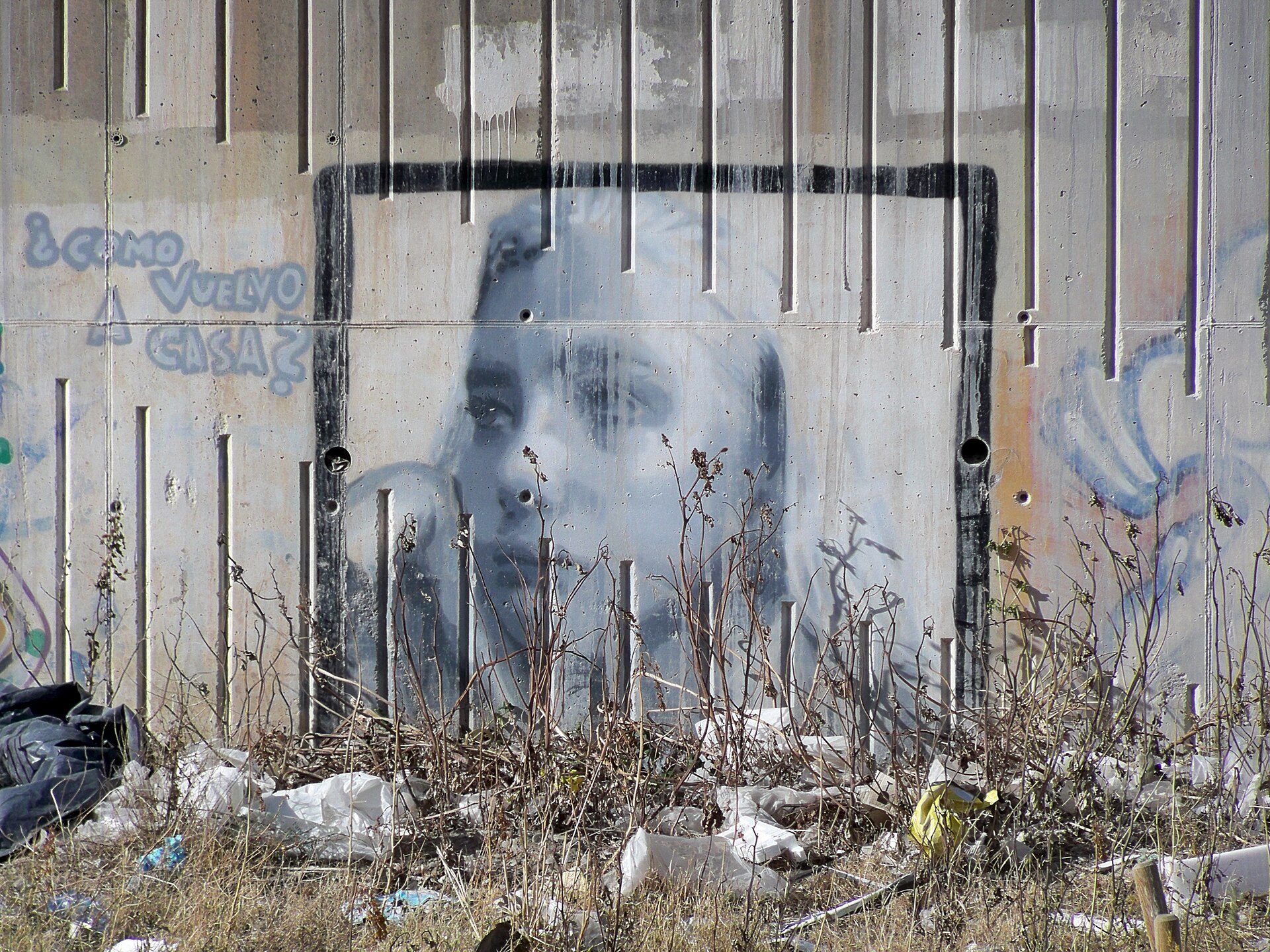 Graffiti-covered wall with a large portrait, surrounded by overgrown plants and debris.
