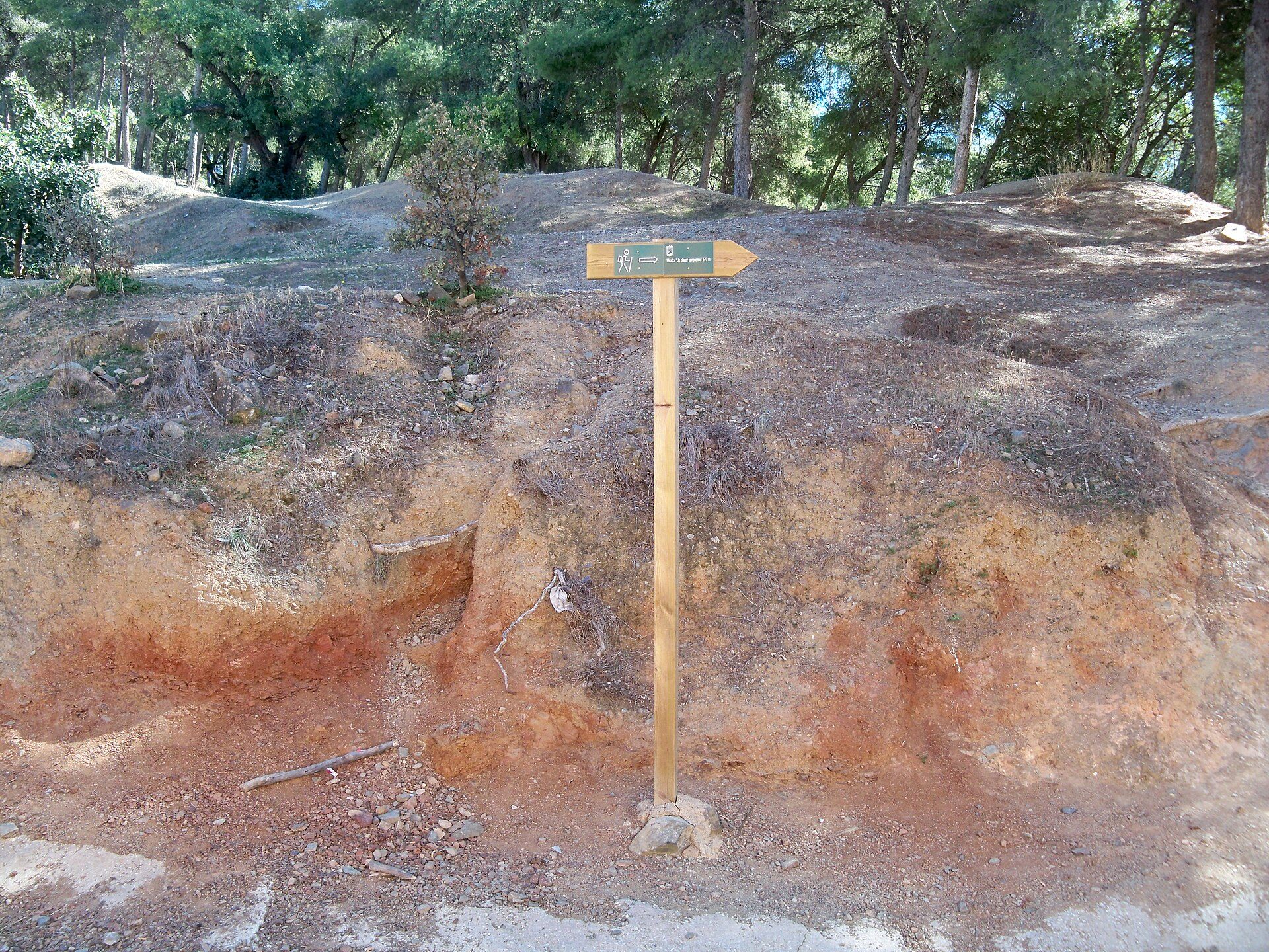 A wooden signpost on a rocky hillside with a green directional sign.