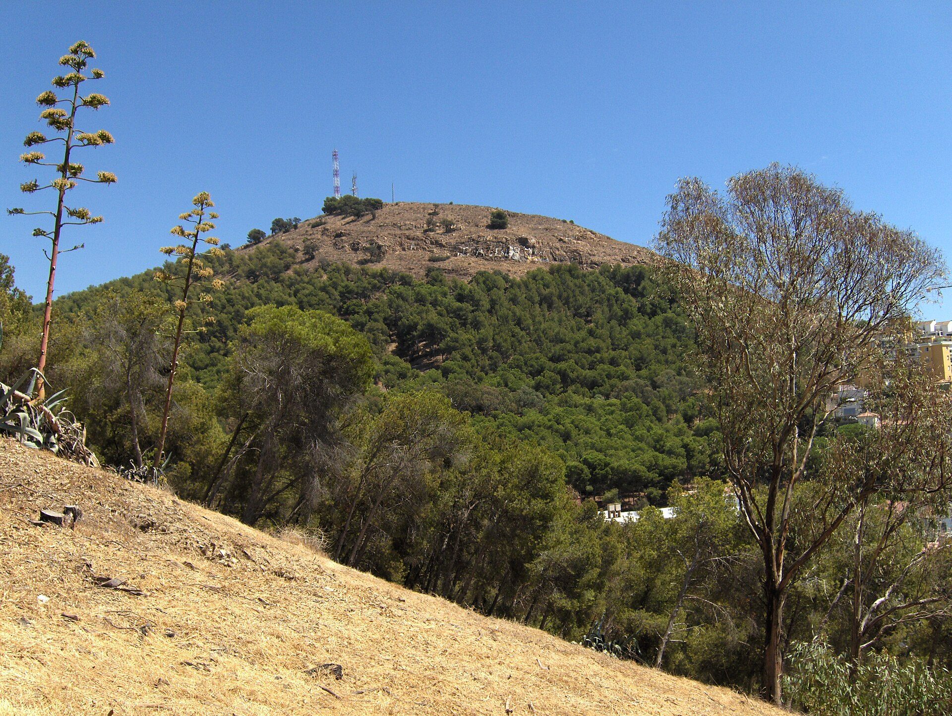 Alt text: Hillside room with scenic mountain view, featuring lush greenery and clear blue sky.