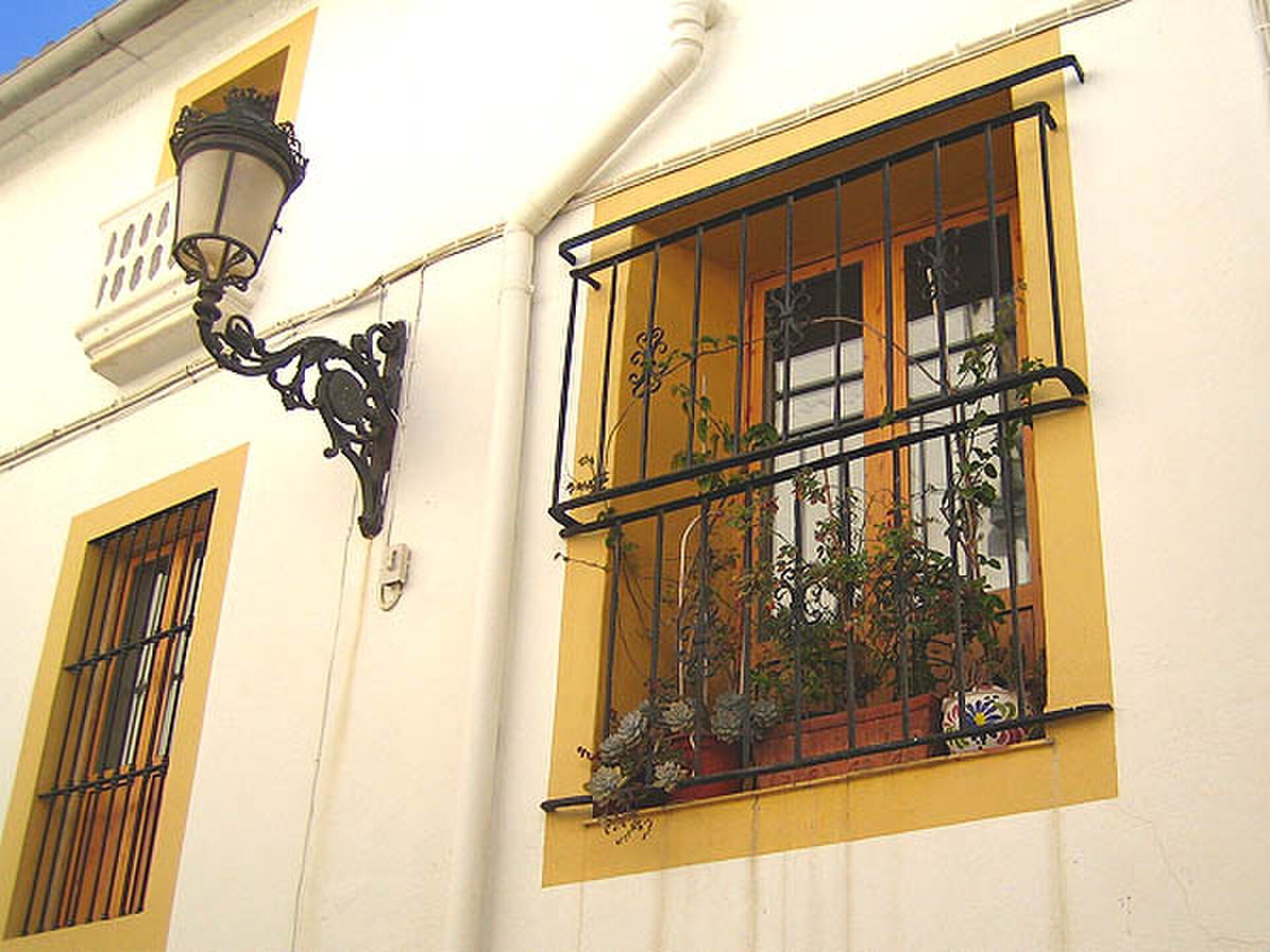 A cozy balcony with potted plants, offering a view of a sunny street.