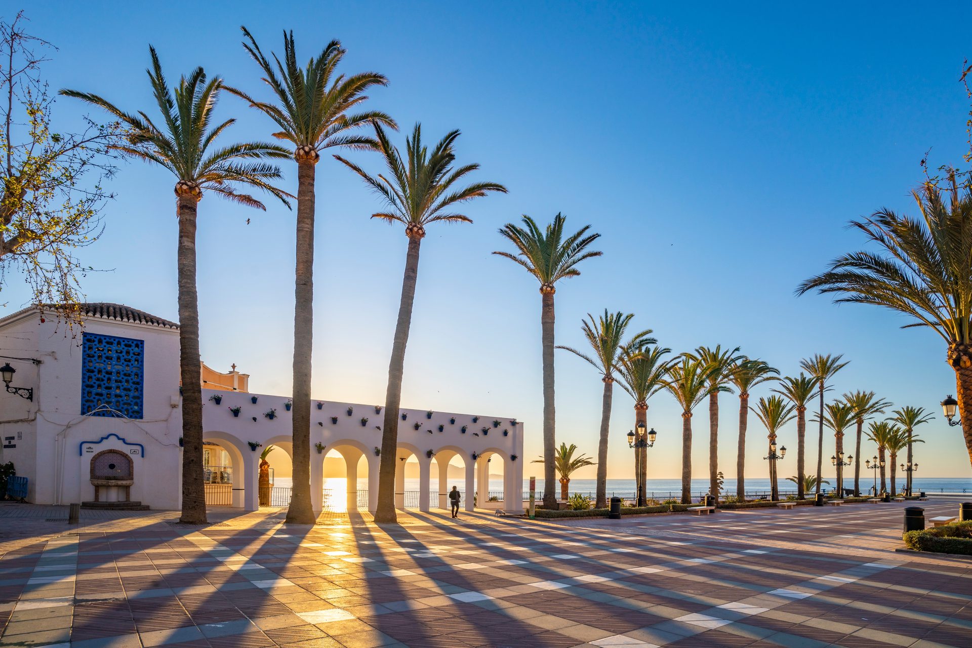 Palm-lined terrace with ocean view, featuring arches and a blue-tiled building.