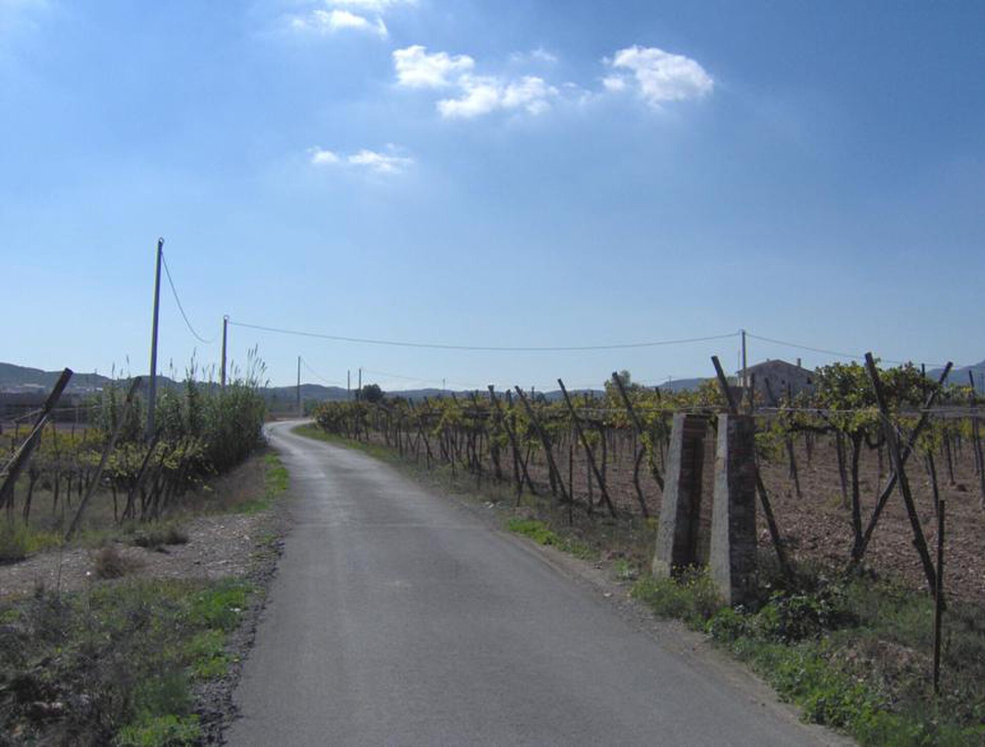 A rural road with vineyards on both sides, leading to a distant house under a clear blue sky.