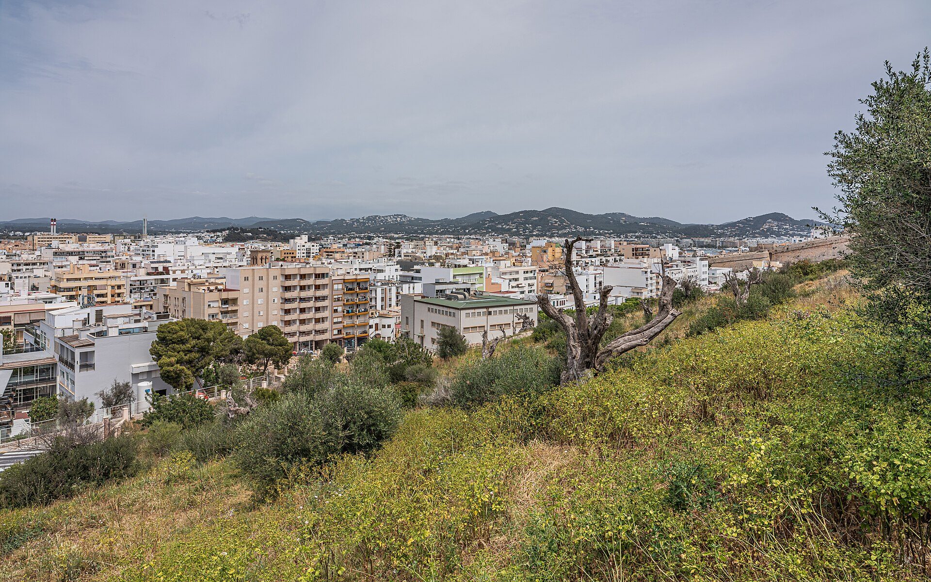 View of Puig des Molins at Ibiza City, Ibiza, Spain