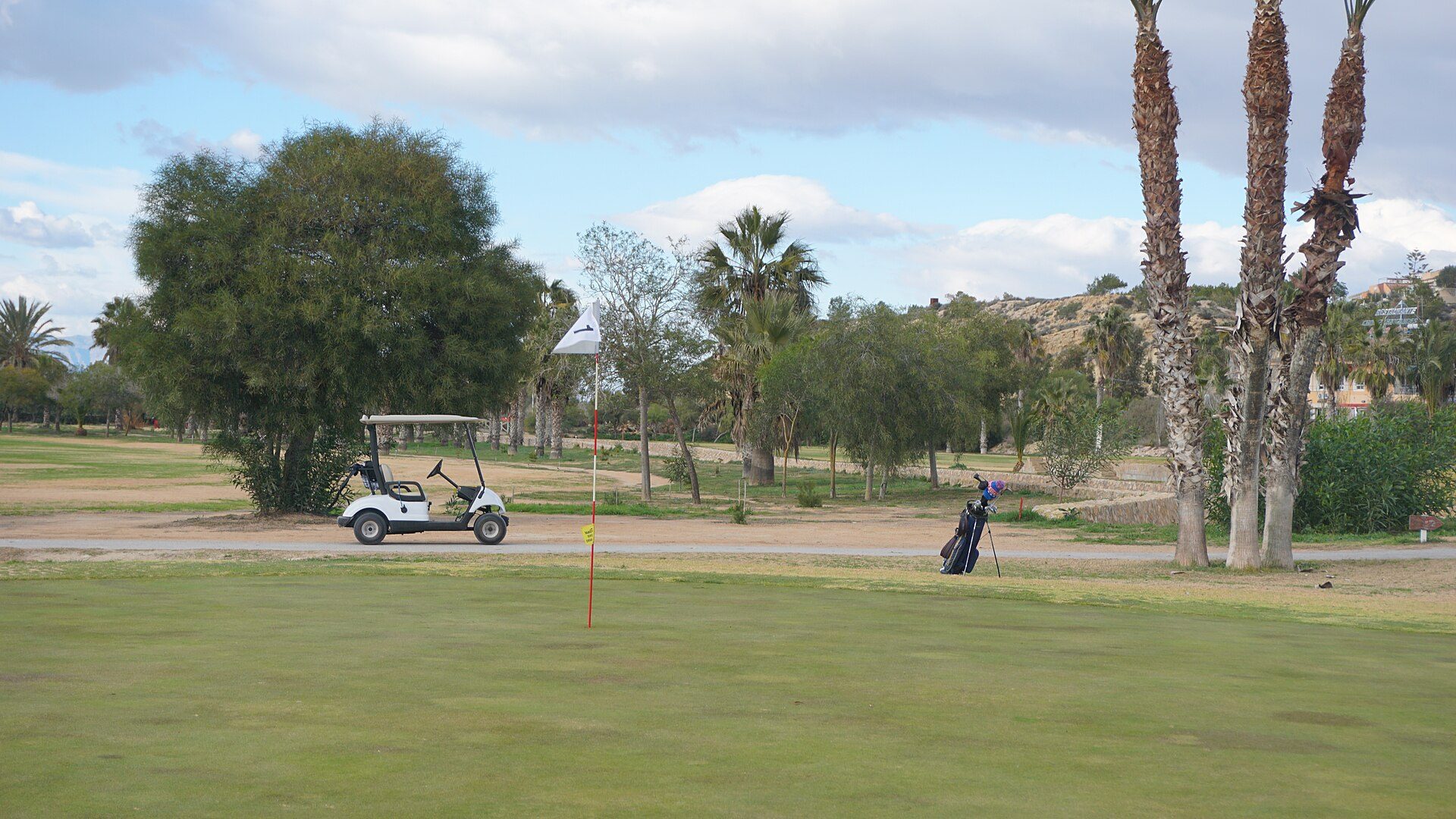 Golf cart on course with palm trees and a clear sky.