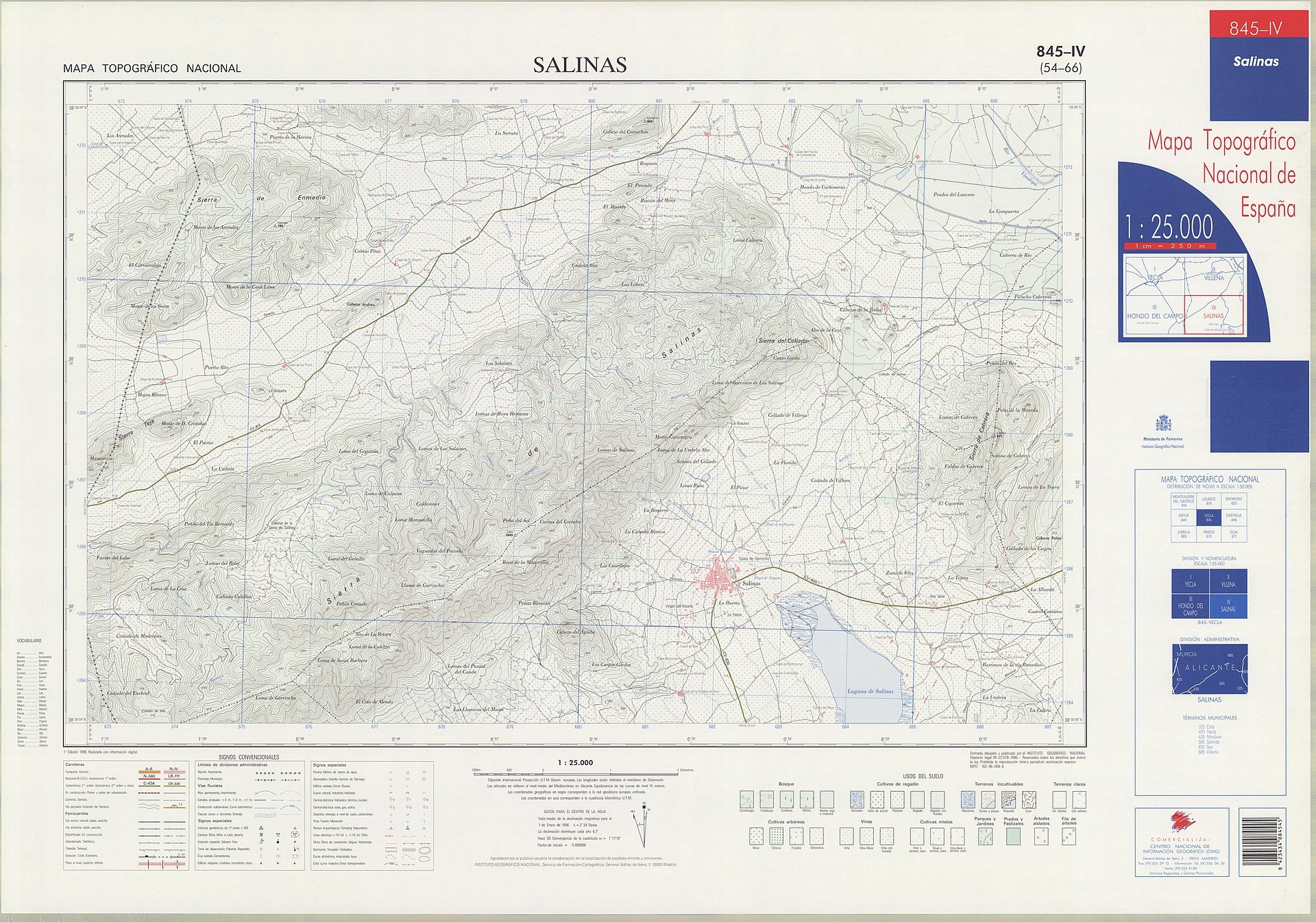 Detailed topographic map of Salinas, Spain, with elevation contours and road network.