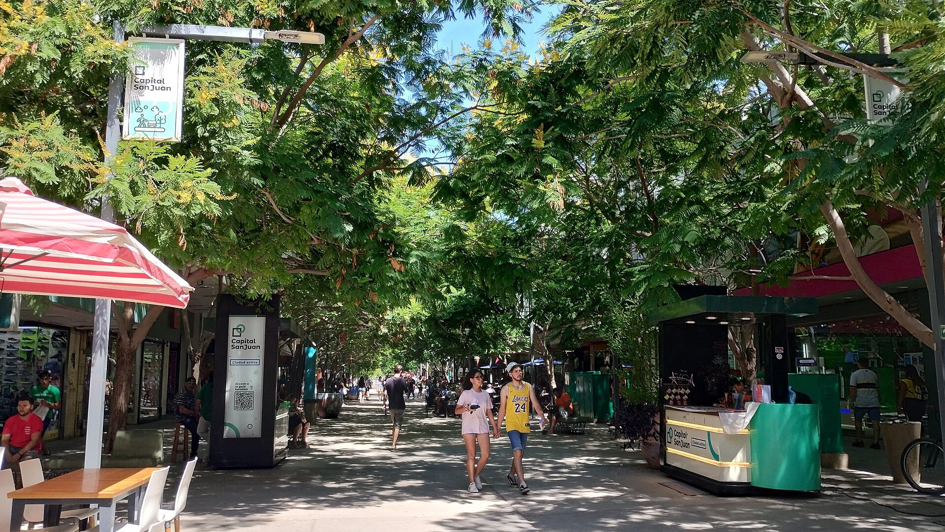 A sunny street lined with trees, shops, and people walking.