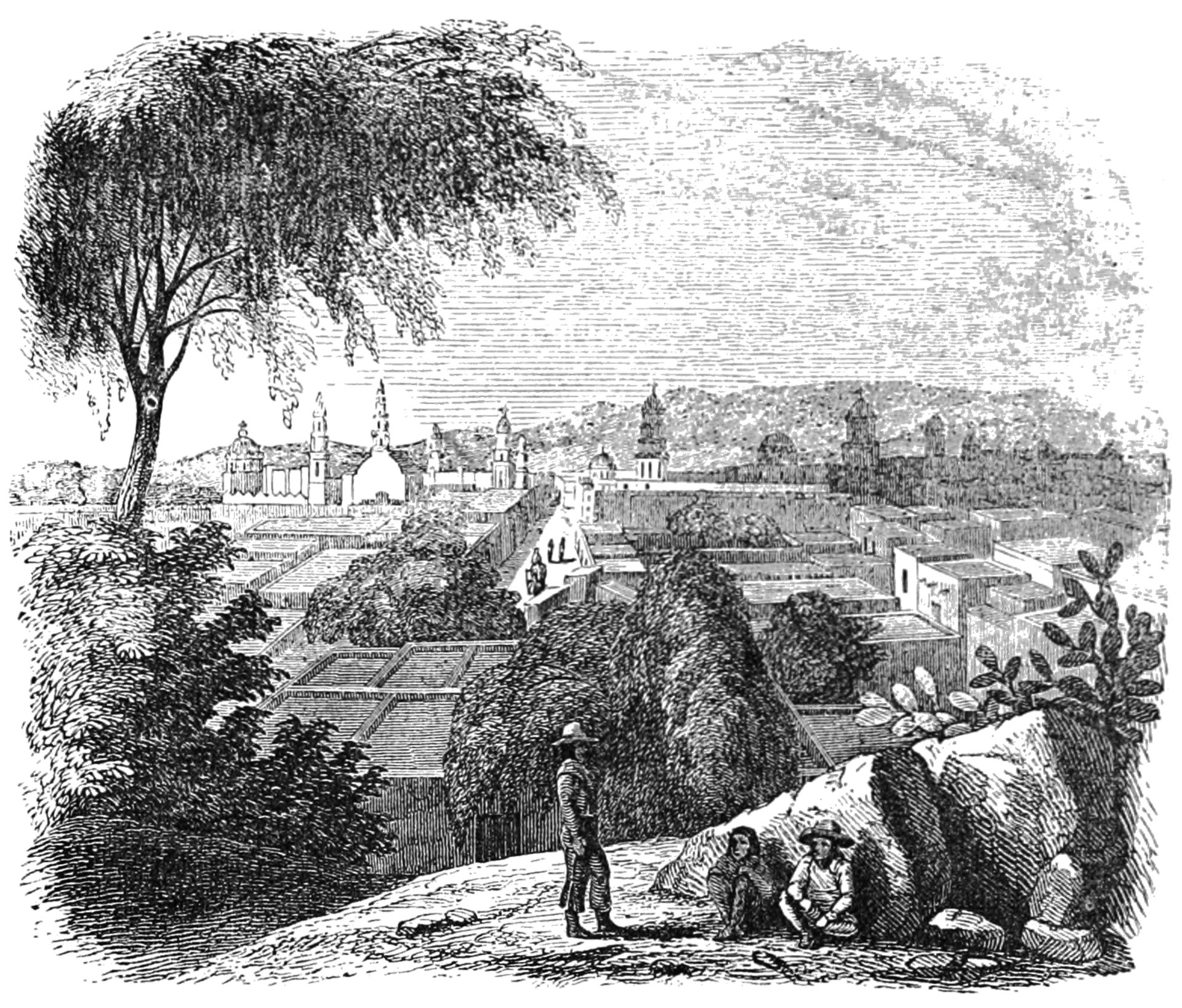 Alt text: Black and white illustration of a cityscape with a large tree, buildings, and a distant view of a church.