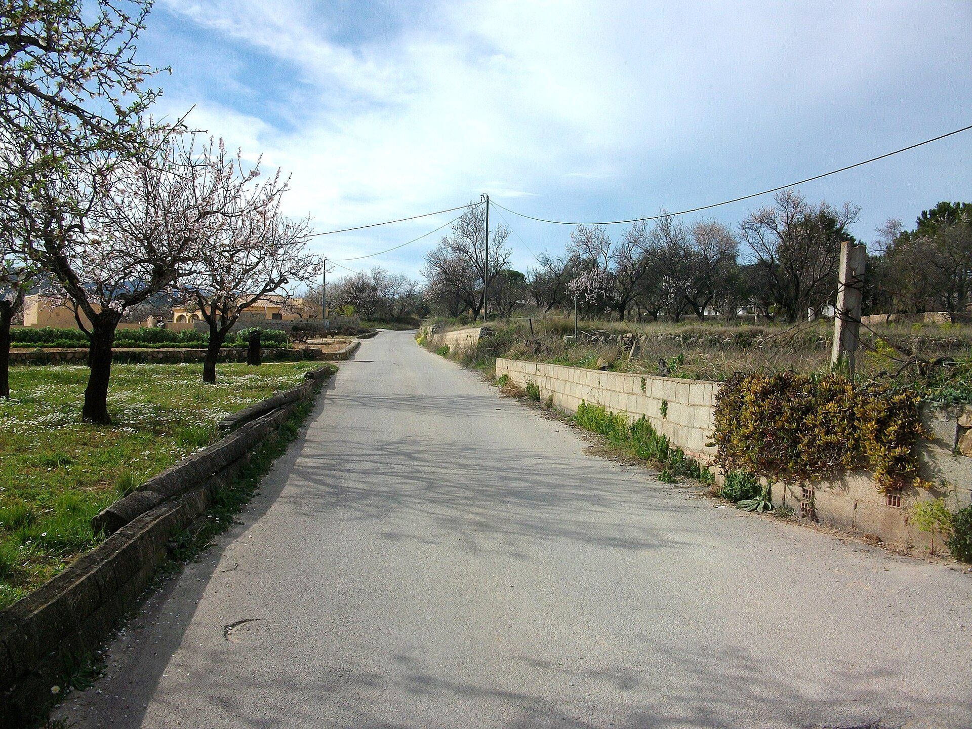 Camí del Pla de Senija. | Joanbanjo | CC BY-SA 3.0