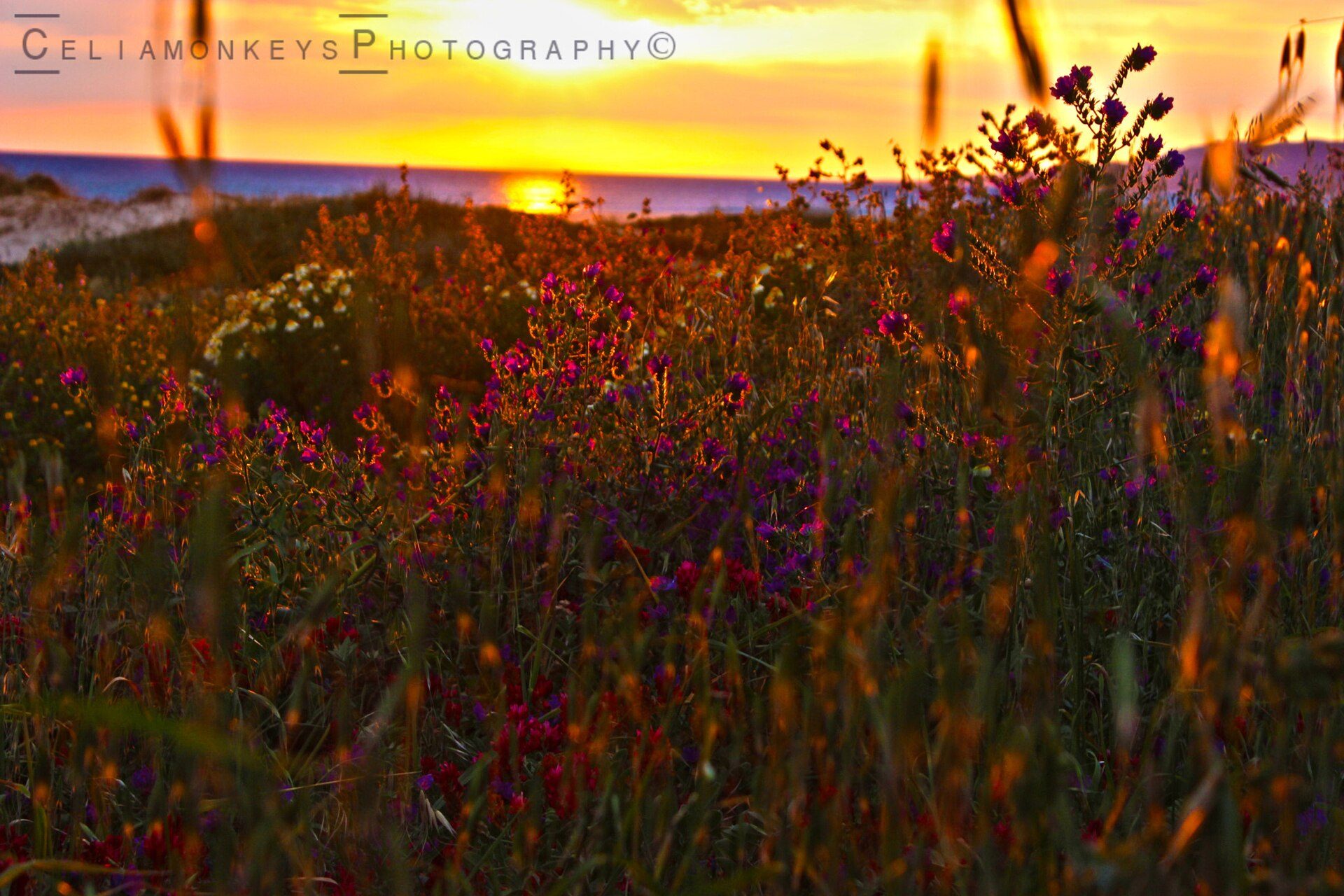 500px provided description: This is a photo taken in the beautiful city of Tarif